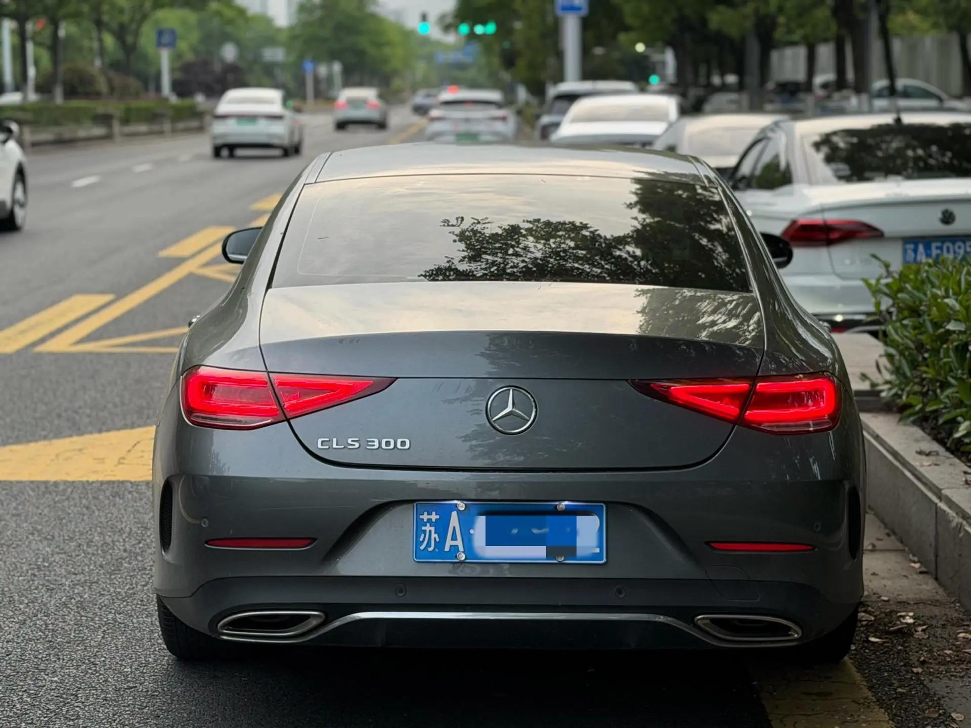 Mercedes Benz CLS 2018 CLS 300 Luxury 3