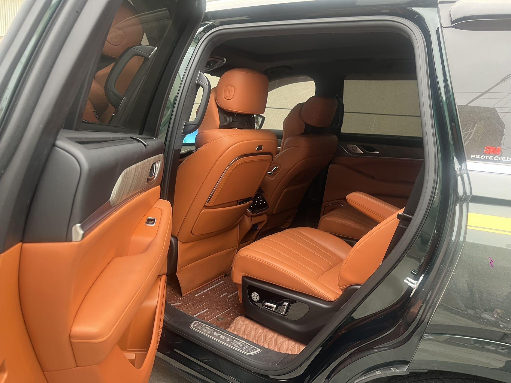 Blue Mountain DHT-PHEV 2023 four-wheel drive long endurance version 7