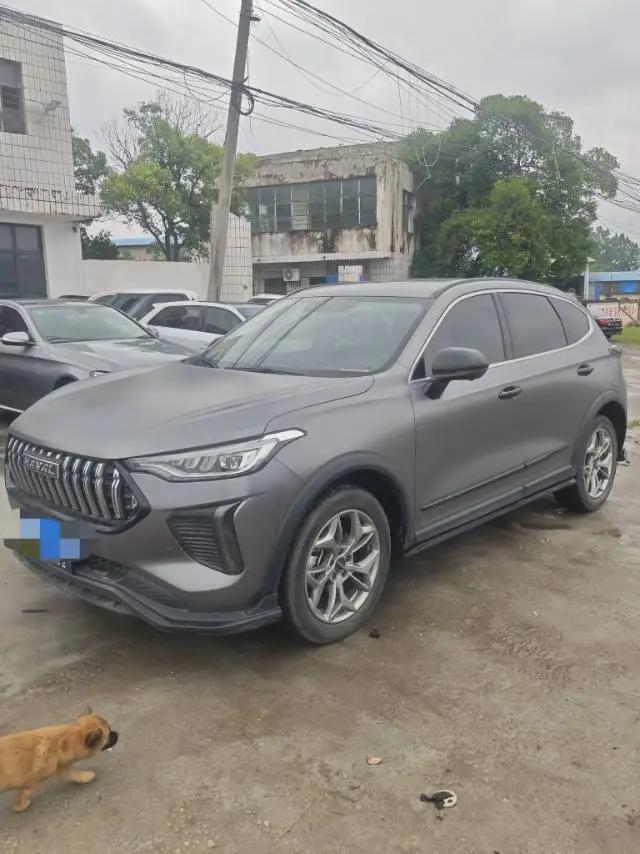 Haval Red Rabbit 2022 Jin Xiang Edition 1.5T Copper Rabbit