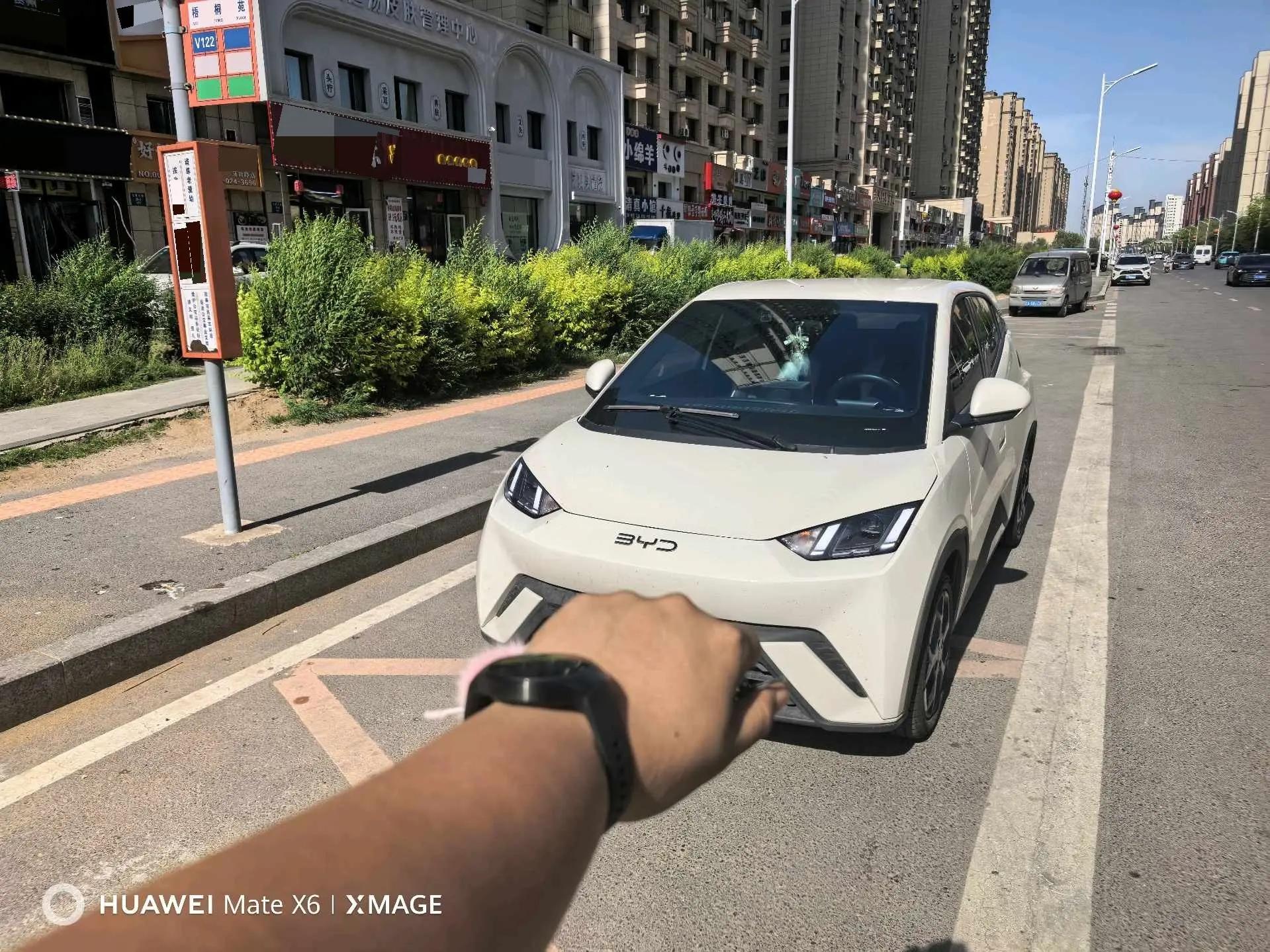 BYD 2025 Seagull 305km Freedom Edition Automatic