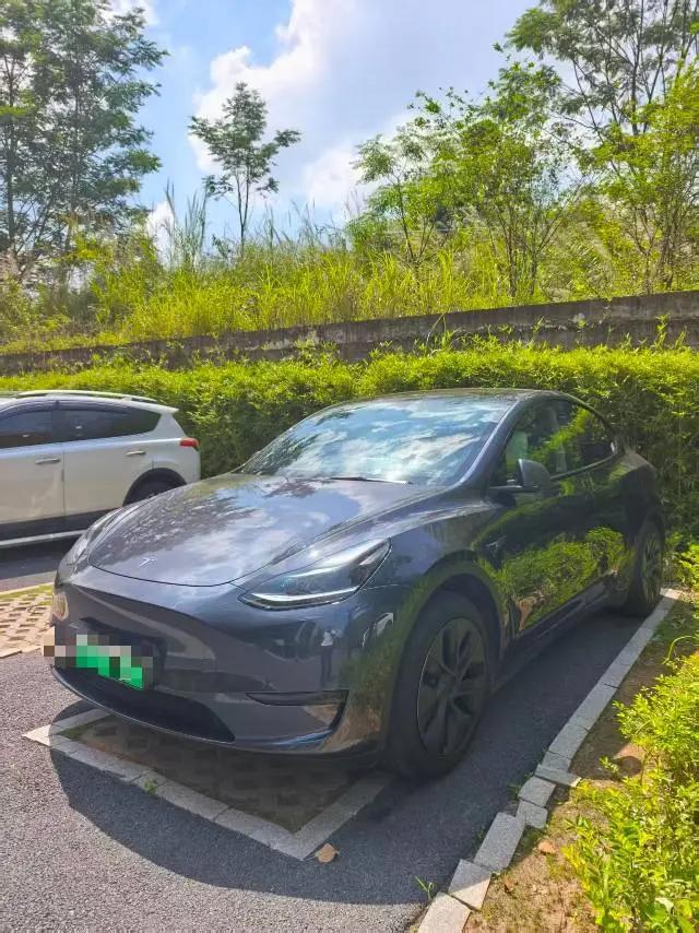 2024 Model Y Rear-Wheel Drive Edition