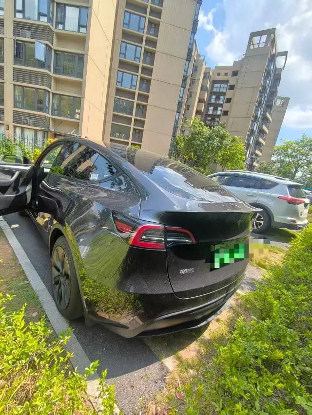2024 Model Y Rear-Wheel Drive Edition 6