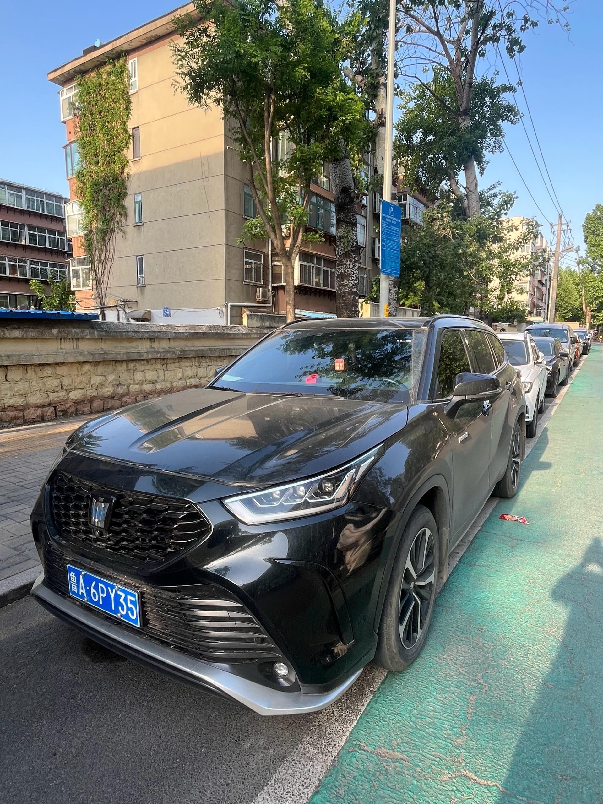 Crown Lu Fang 2022 2.0T Jin Yao Edition