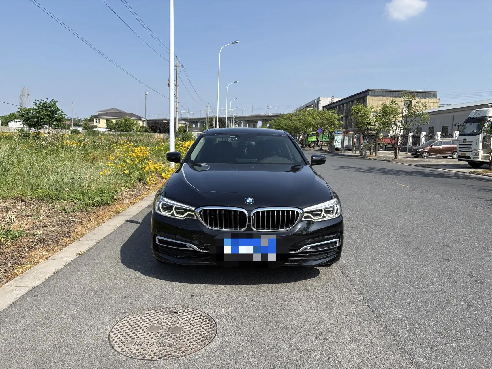 BMW 5 Series 2020 530Li Leading Luxury Suit 2