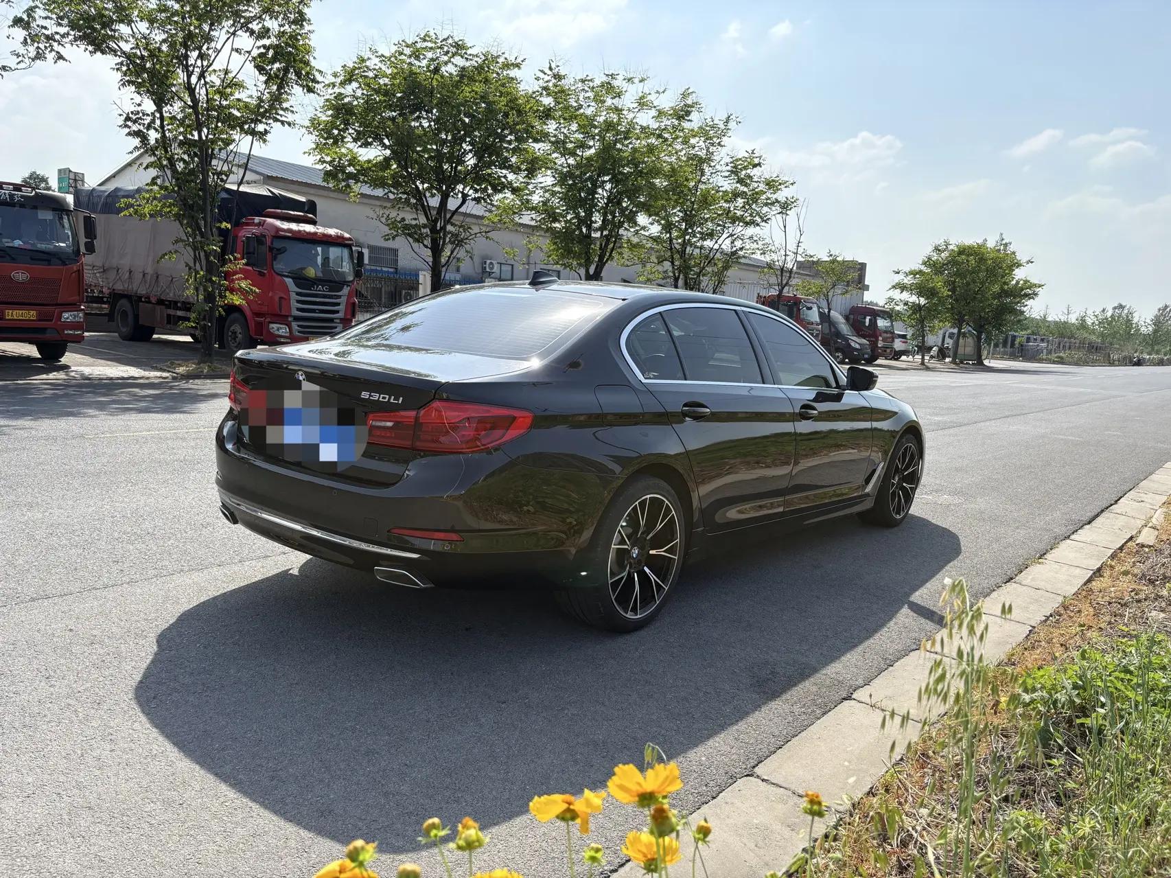 BMW 5 Series 2020 530Li Leading Luxury Suit 4