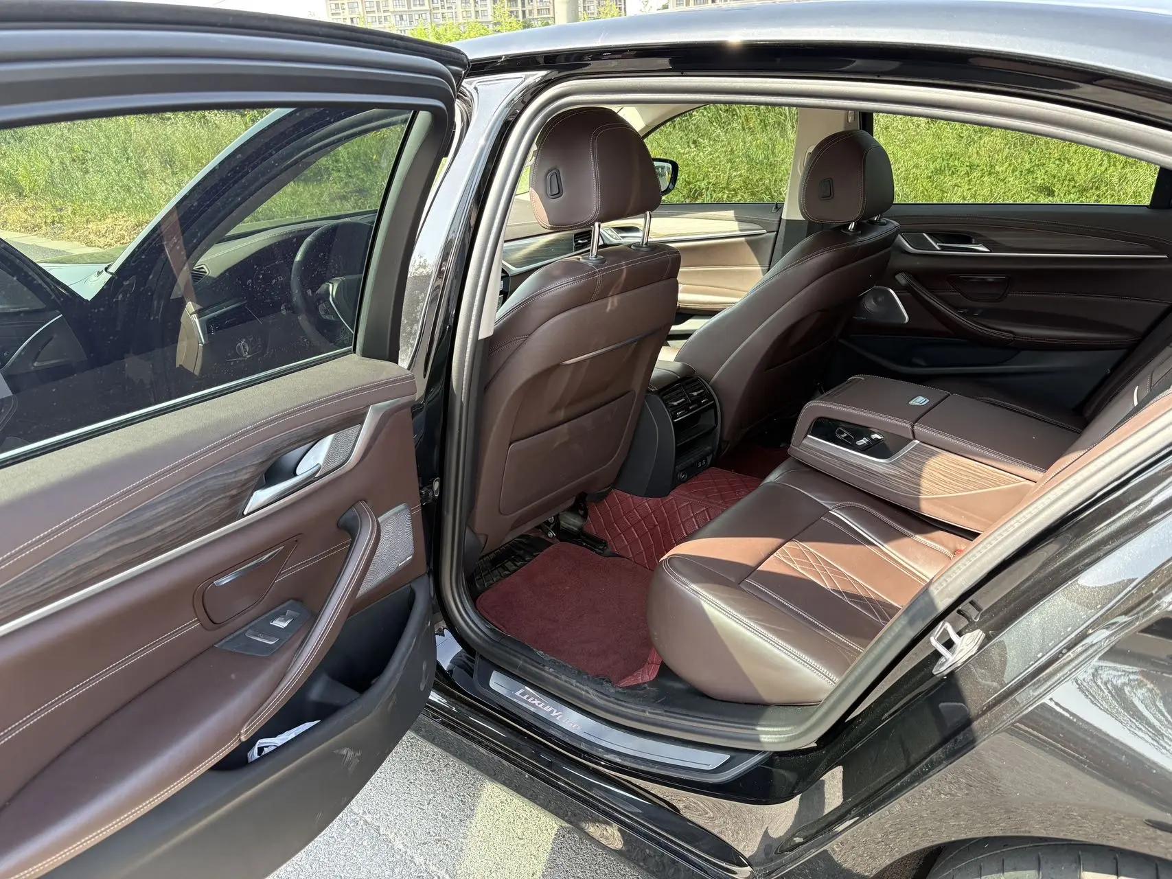 BMW 5 Series 2020 530Li Leading Luxury Suit 6