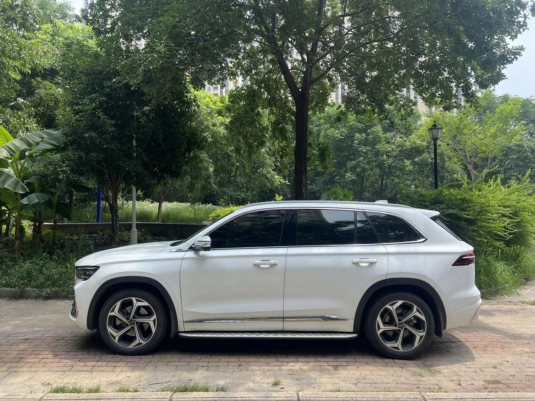 XingyueL (Monjaro) 2021 2.0TD DCT EVO two-wheel drive distinguished model 3
