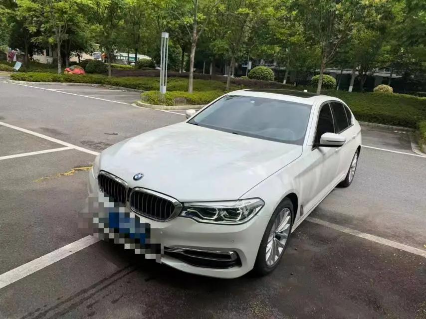 BMW 5 Series 2020 530Li Premium Luxury Suit