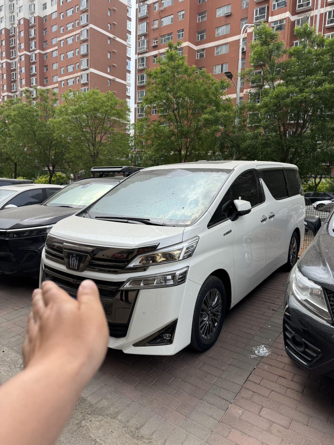 Will Fa 2021 Crown Double Qing 2.5L HV Extreme Edition