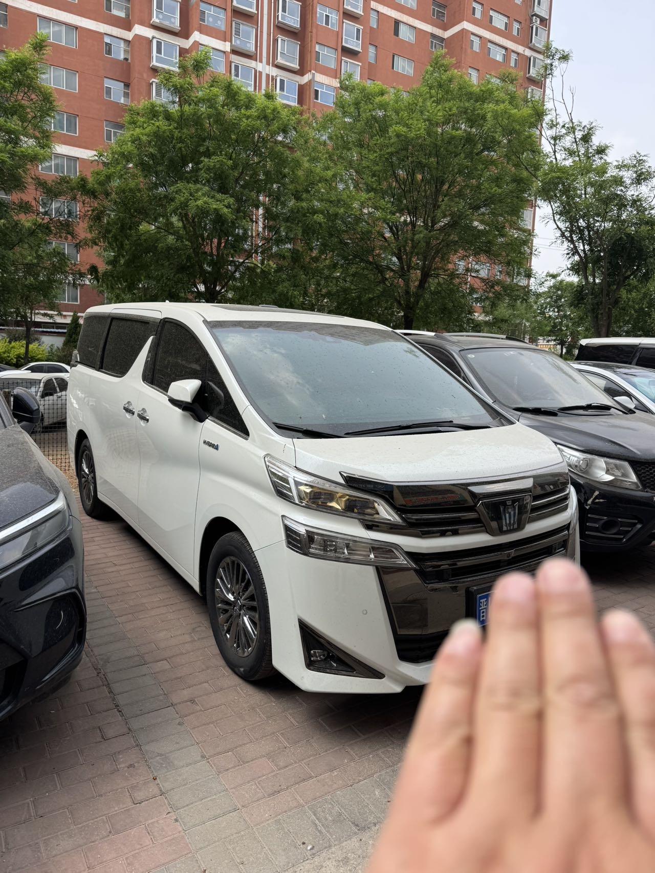 Will Fa 2021 Crown Double Qing 2.5L HV Extreme Edition 2