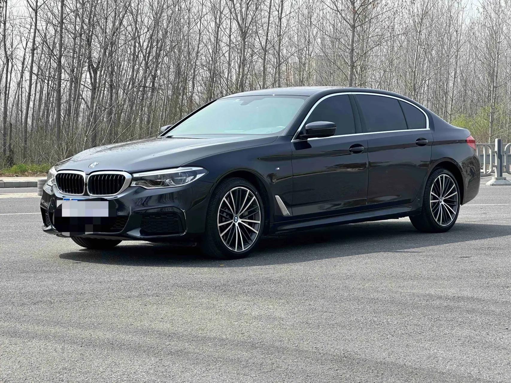 BMW 5 Series 2020 530Li Leading M Sports Suit