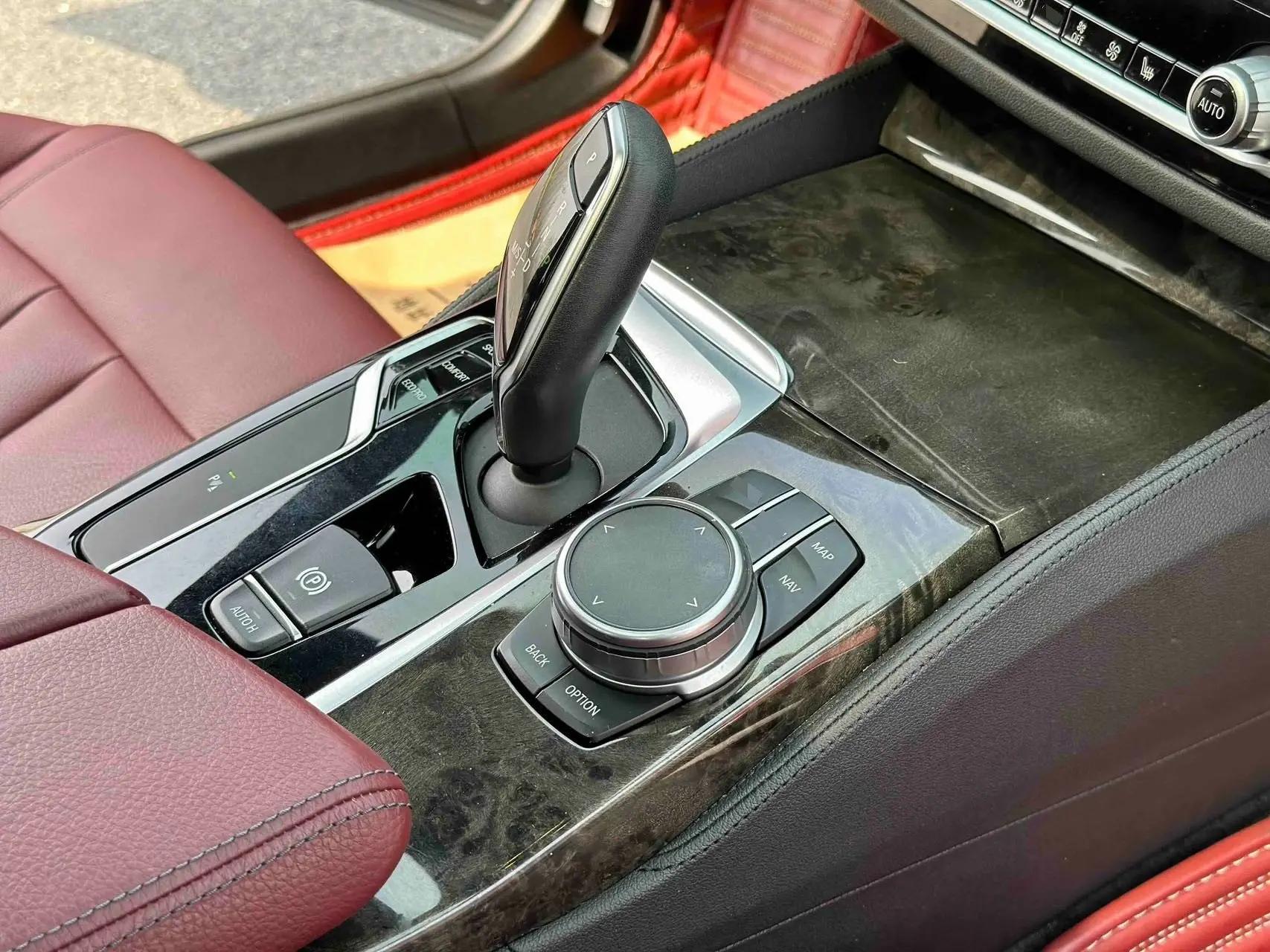 BMW 5 Series 2020 530Li Leading M Sports Suit 4