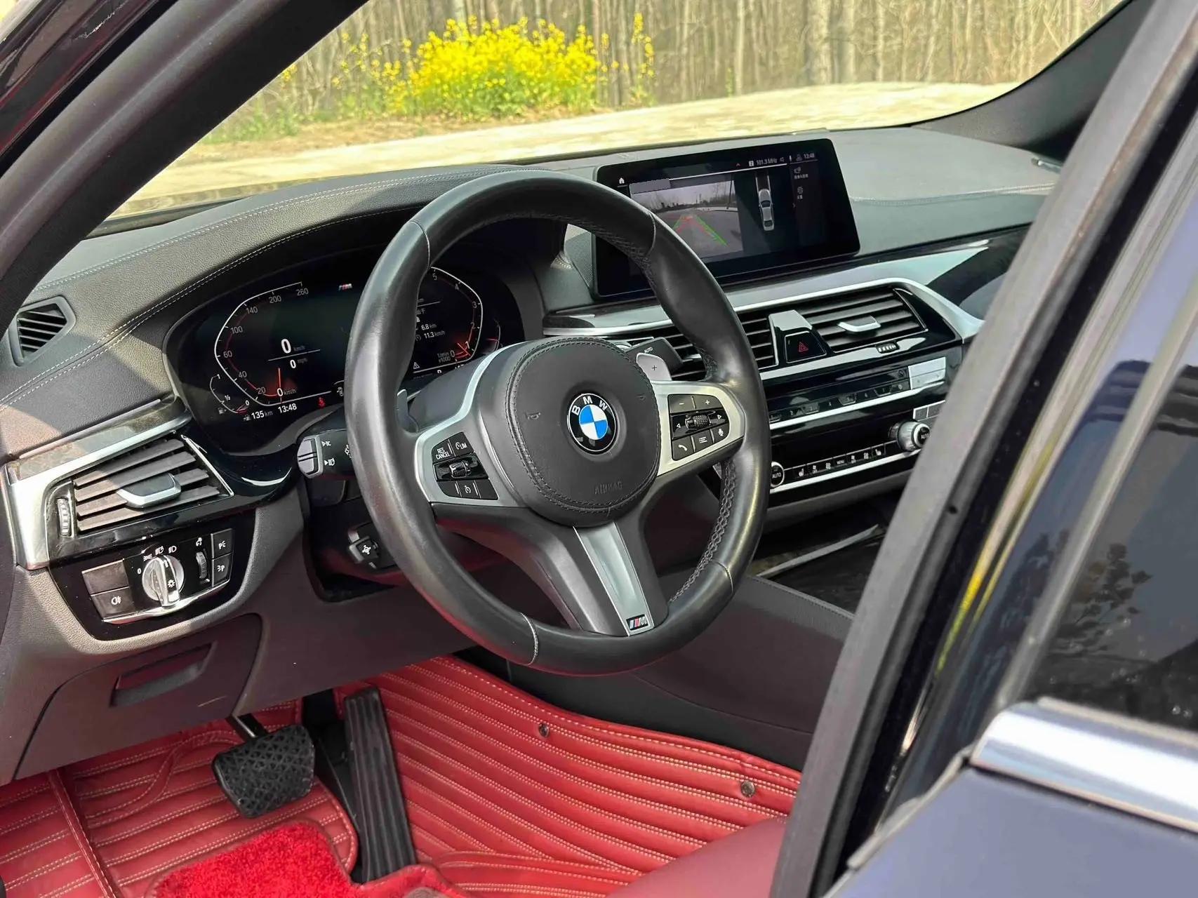 BMW 5 Series 2020 530Li Leading M Sports Suit 5