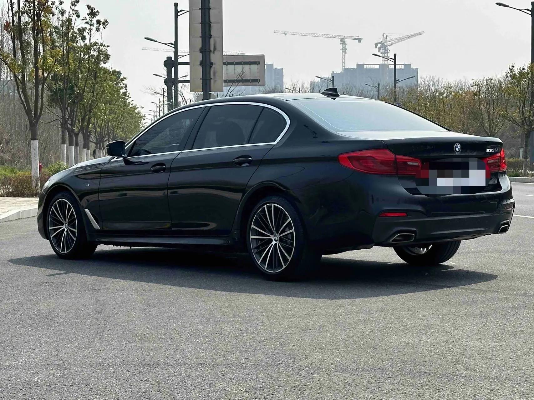 BMW 5 Series 2020 530Li Leading M Sports Suit 6