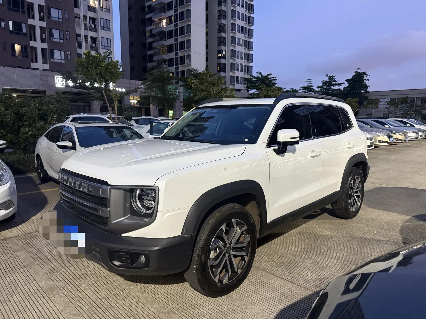Haval 2024 Dog 1.5T Border Collie Edition Automatic