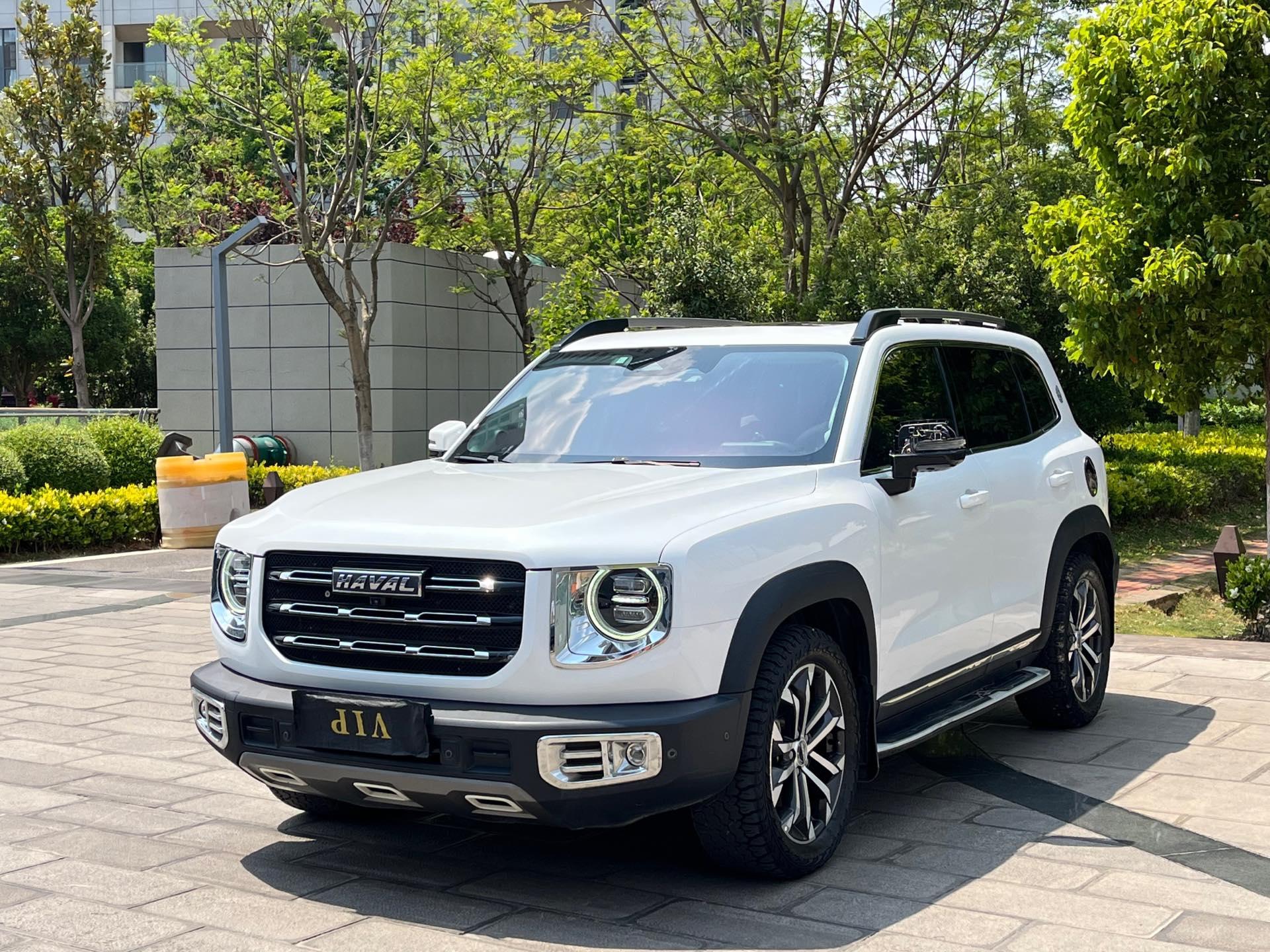 Haval Big Dog 2021 1.5T DCT Two-Drive Horse Dog-Wangcai Edition