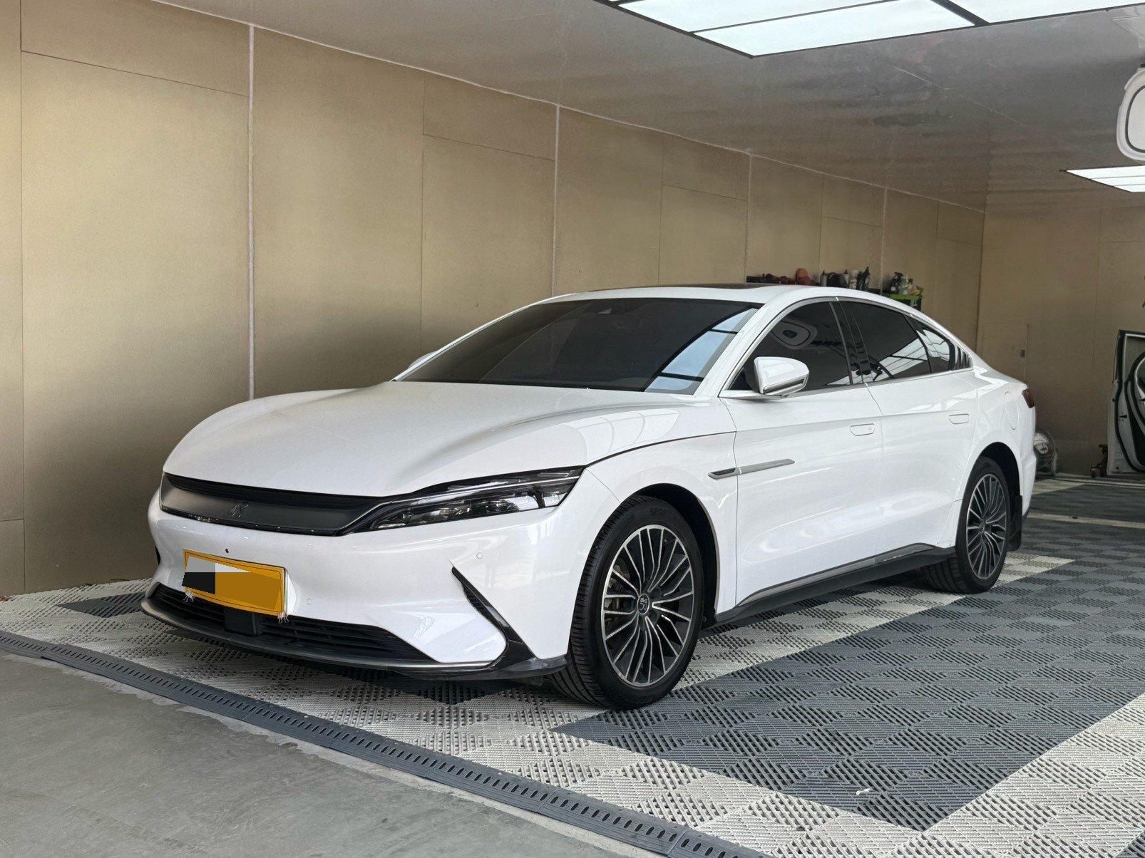 Han 2021 EV Standard Endurance Luxury Model