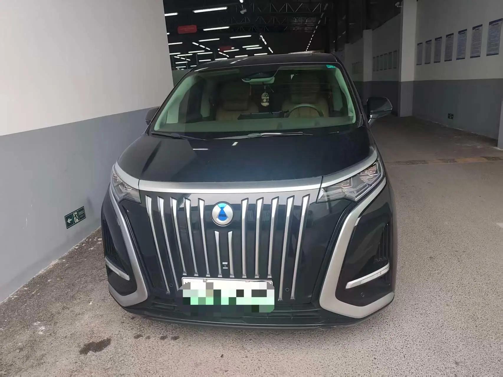Denza D9 2022 EV 600 Four-wheel Drive Honor Model 2