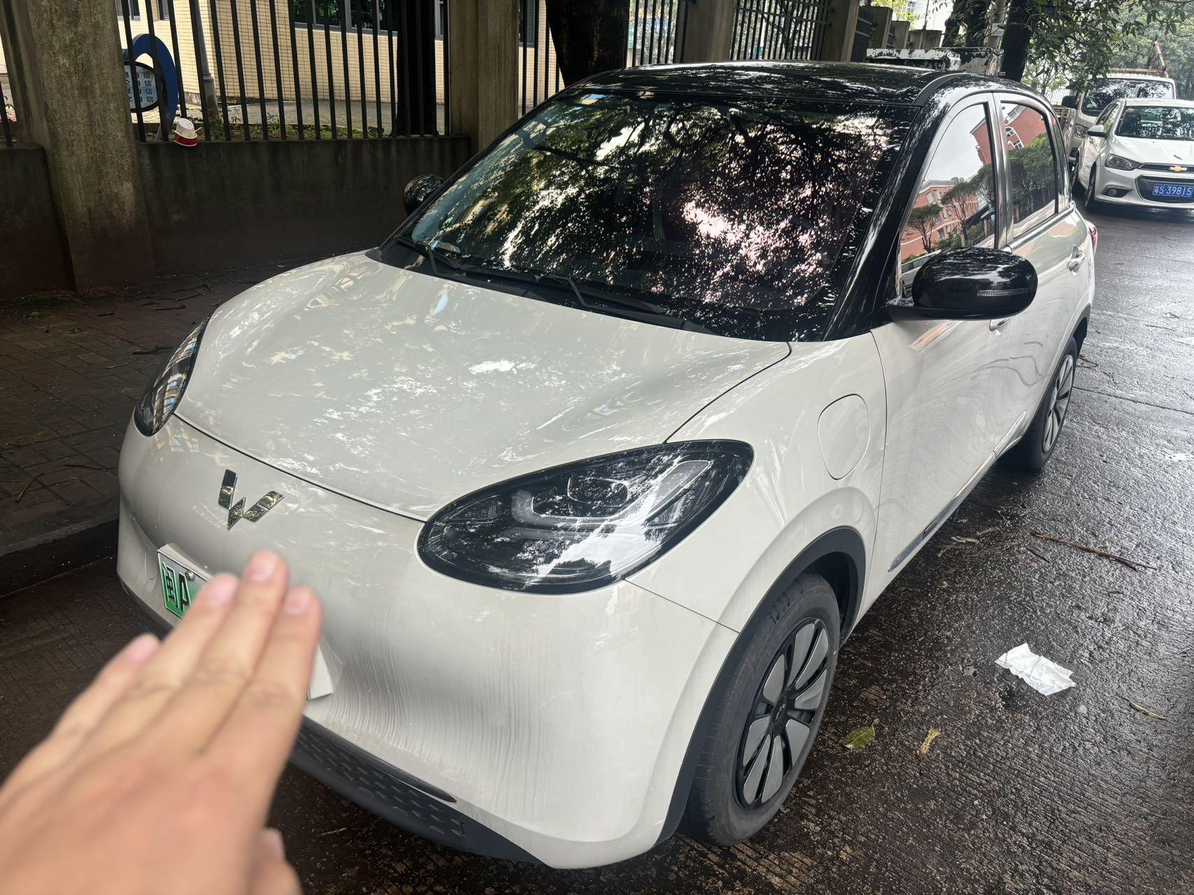 WuLing Plantronics 2024 333km Pleasant