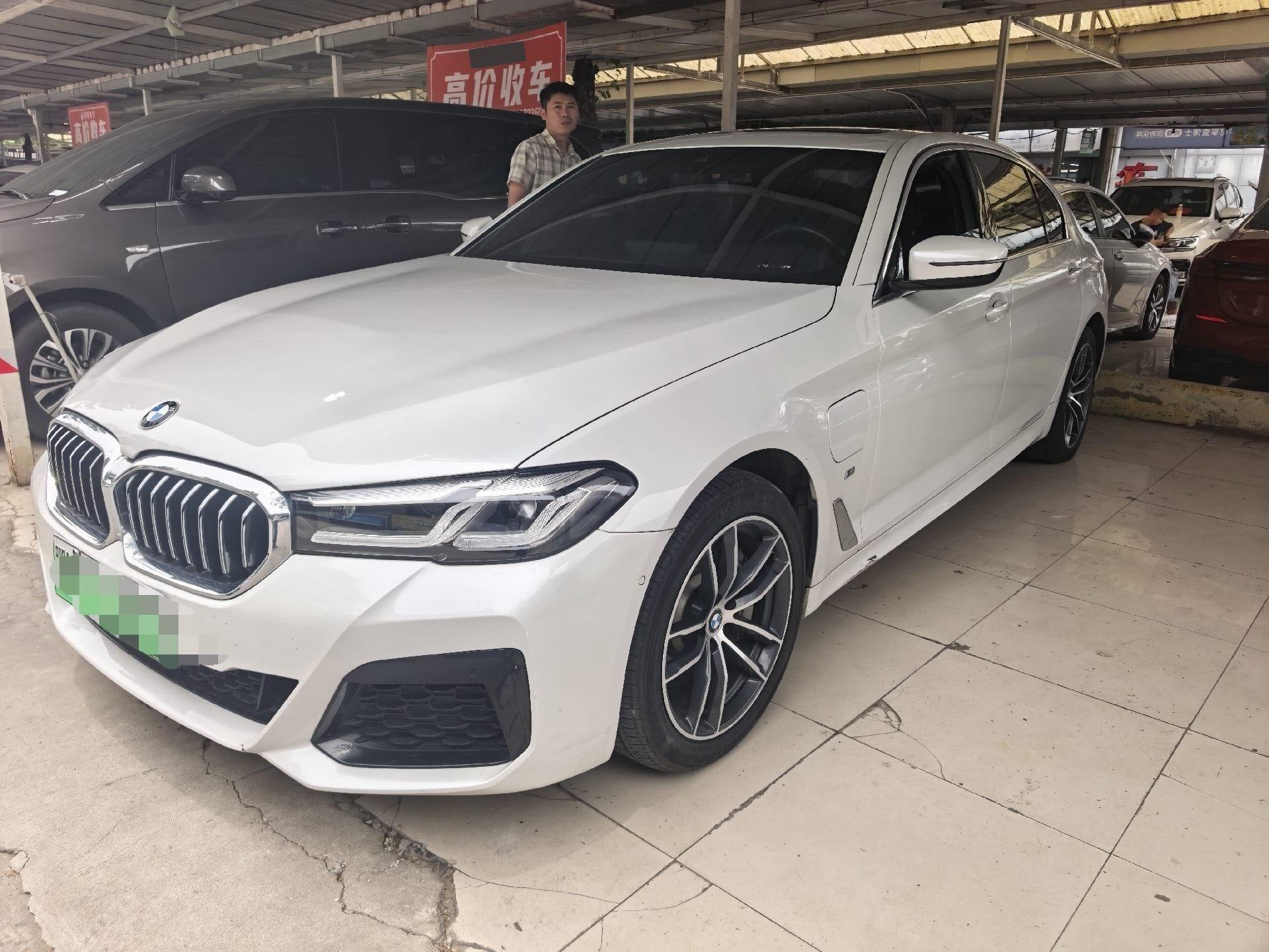 BMW 5 New Energy 2021 535Le Deluxe Suit