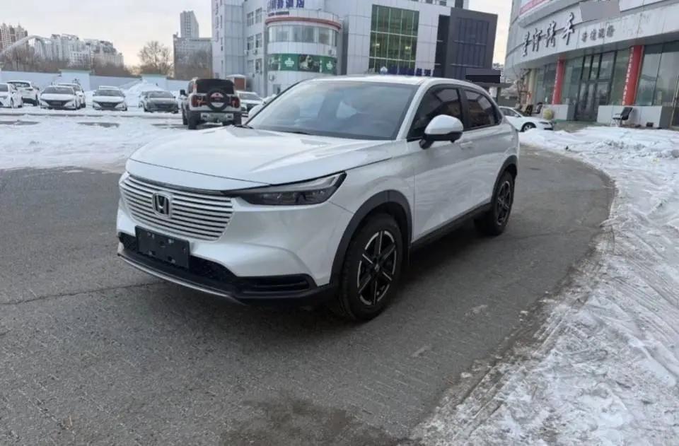 Binzhi 2023 1.5L CVT Low Edition