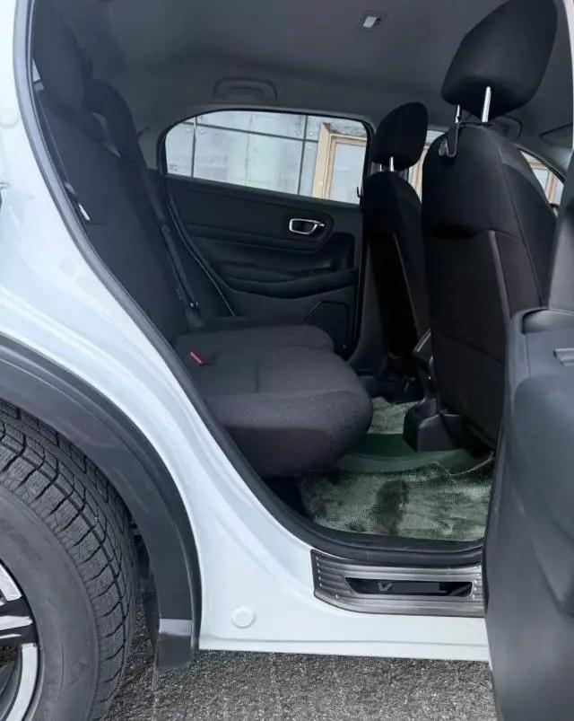 Binzhi 2023 1.5L CVT Low Edition 6