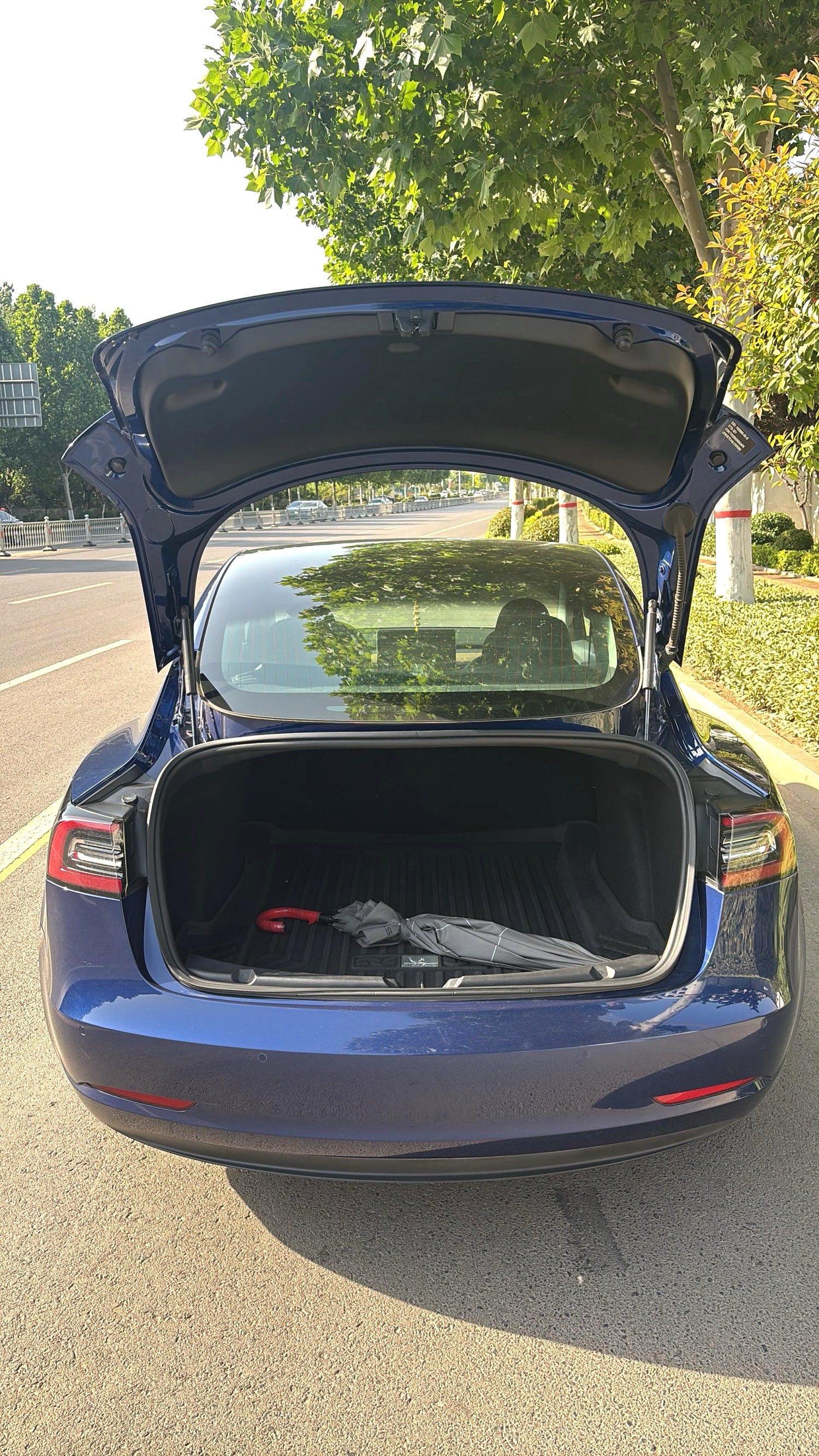 Model 3 2019 Standard Endurance Rear Drive Upgrade 4