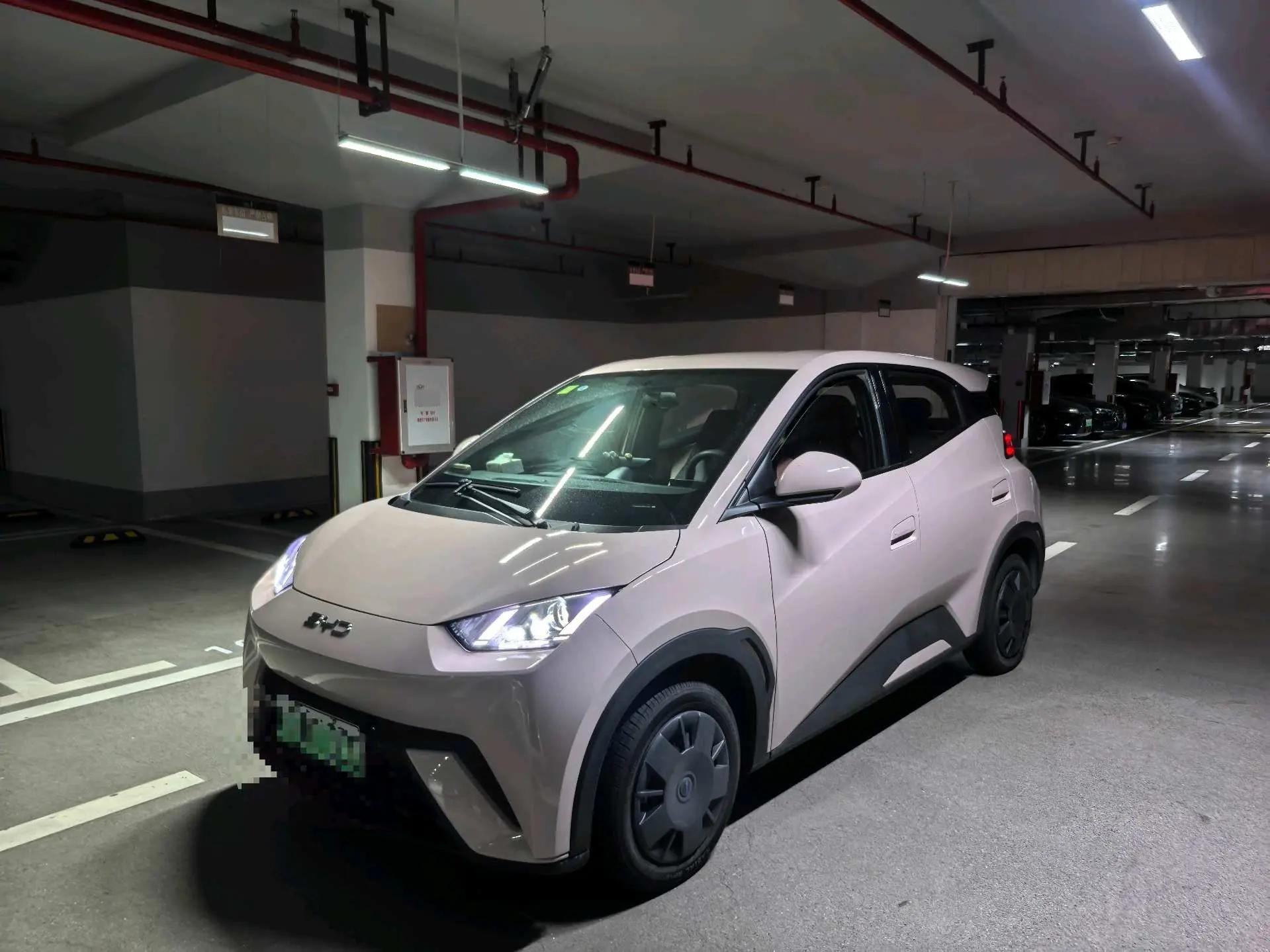 BYD 2025 Seagull 305km Freedom Edition Automatic