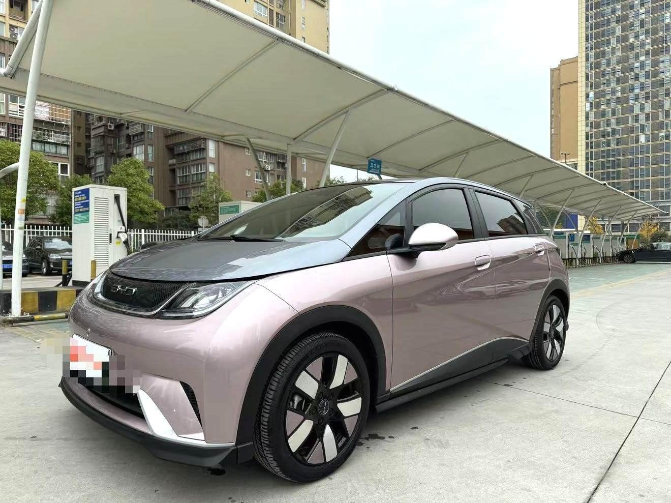 Dolphin 2021 401km Knight Edition