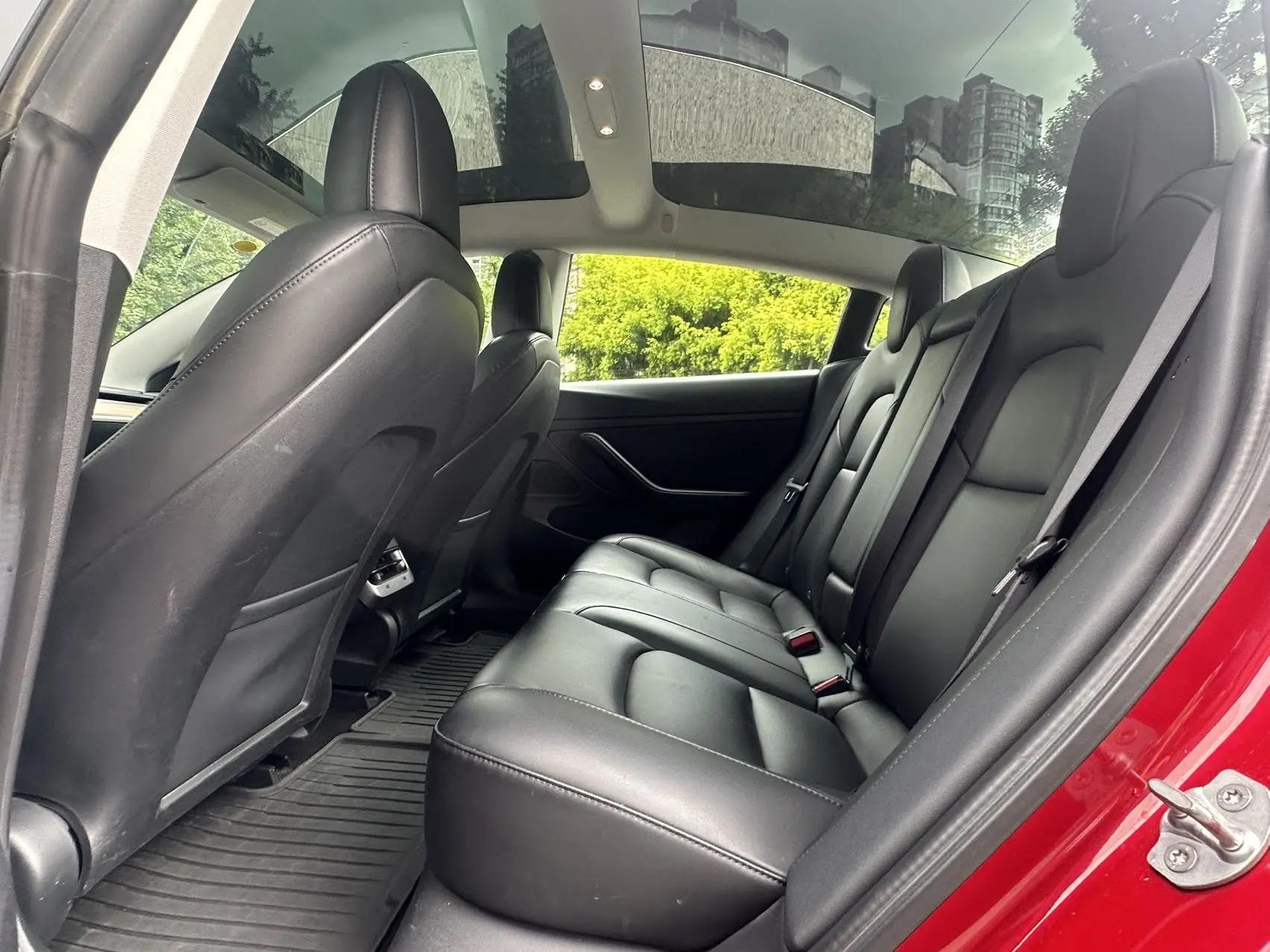 Model 3 2019 Standard Endurance Rear Drive Upgrade 8