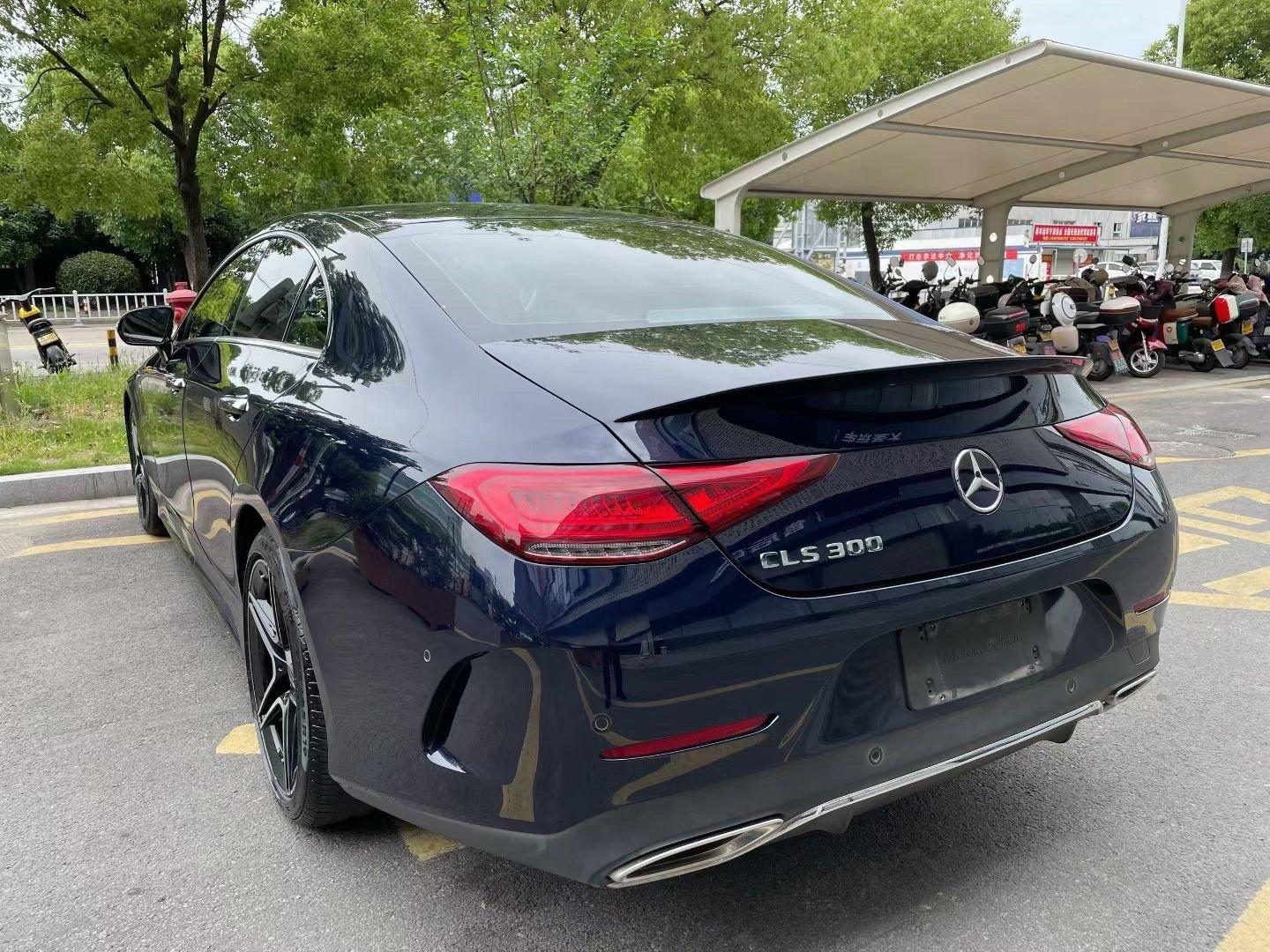 Mercedes Benz CLS 2021 CLS 300 Luxury 3