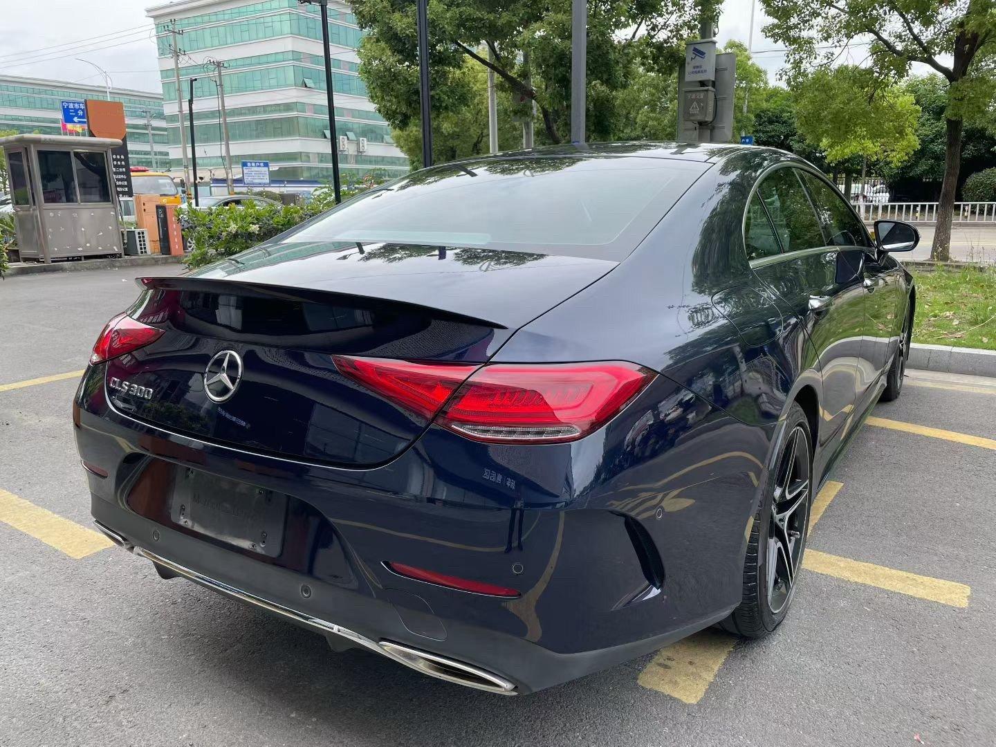 Mercedes Benz CLS 2021 CLS 300 Luxury 4