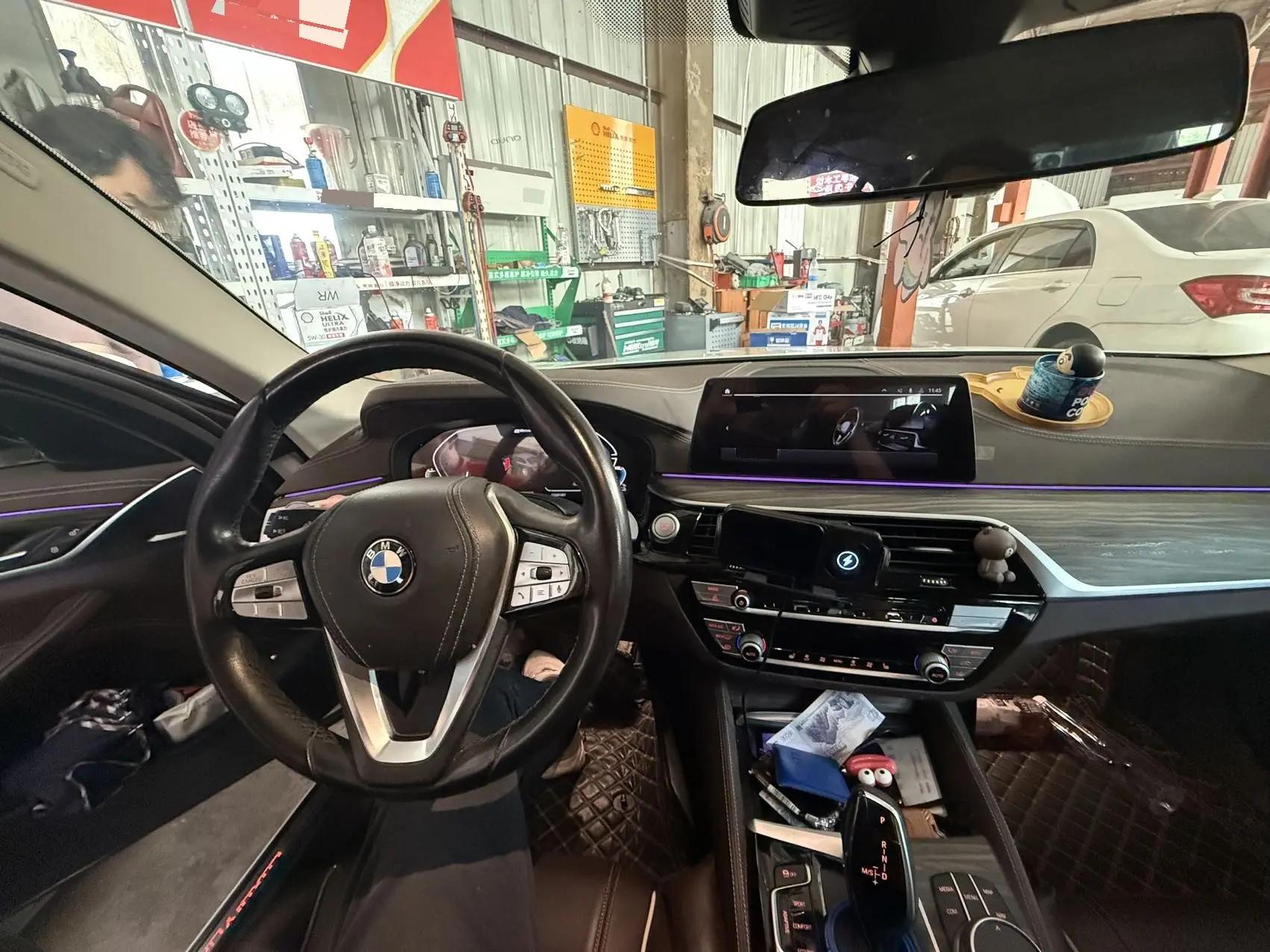 BMW 5 New Energy 2020 Mileage Upgrade 530Le Pioneer Edition 3
