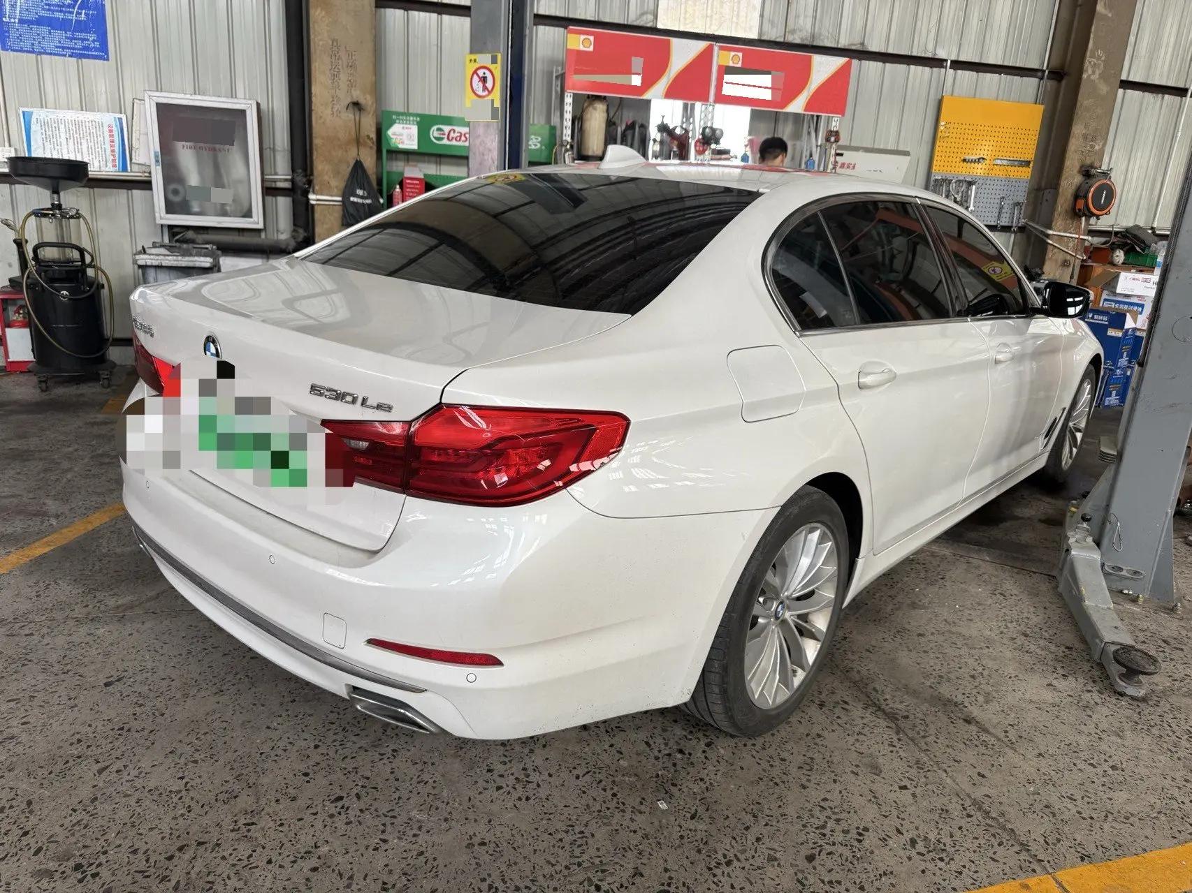 BMW 5 New Energy 2020 Mileage Upgrade 530Le Pioneer Edition 6