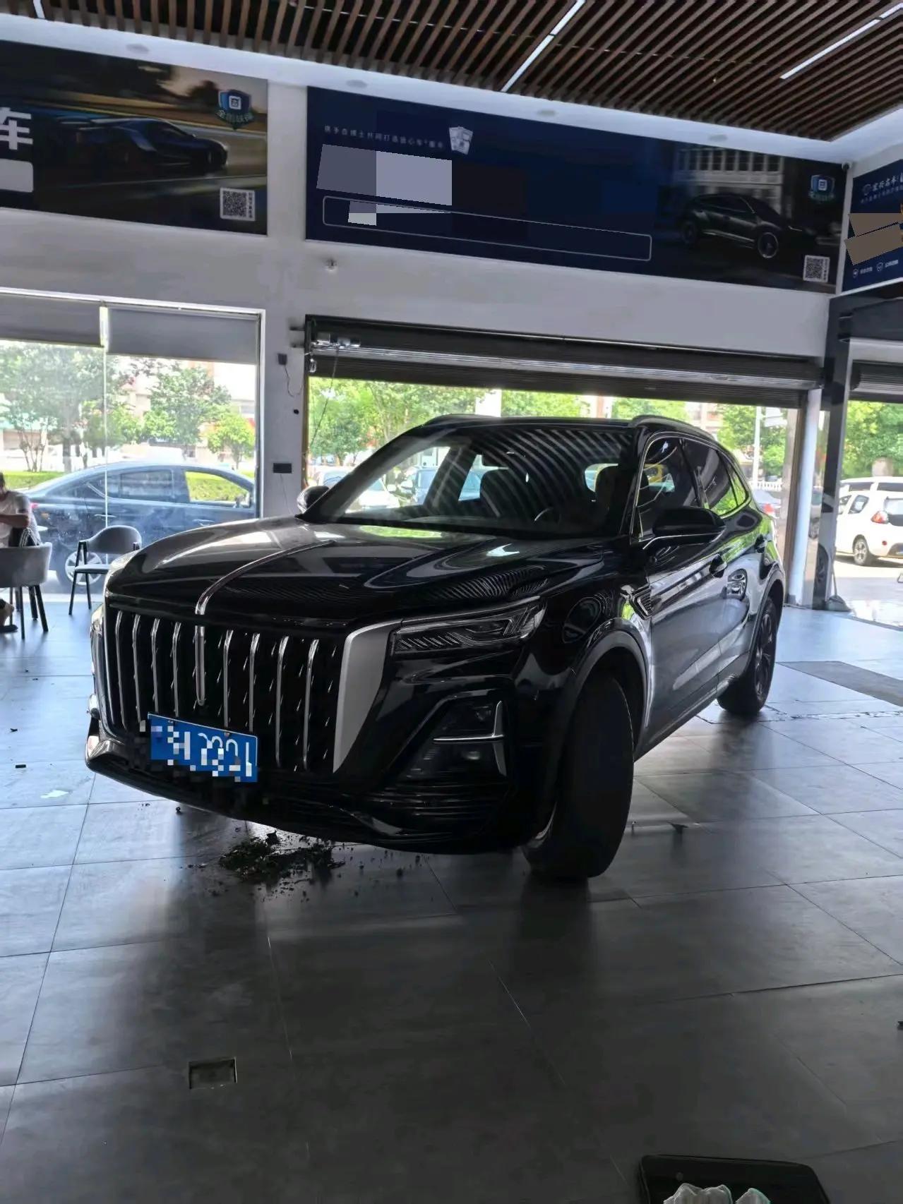 HongQi 2025 HS5 2.0T Two-Wheel Drive 600,000-Vehicle Commemorative Edition Automatic