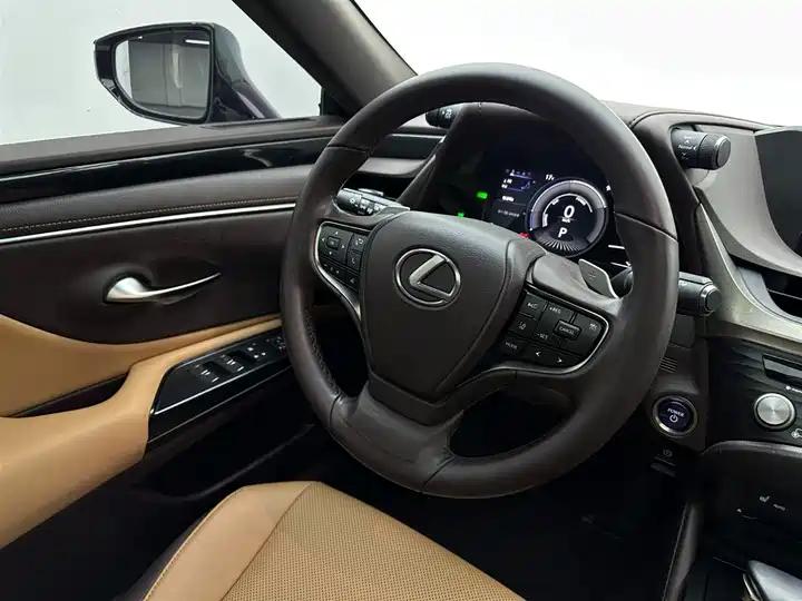 Lexus ES 2020 300h Excellent Edition 10