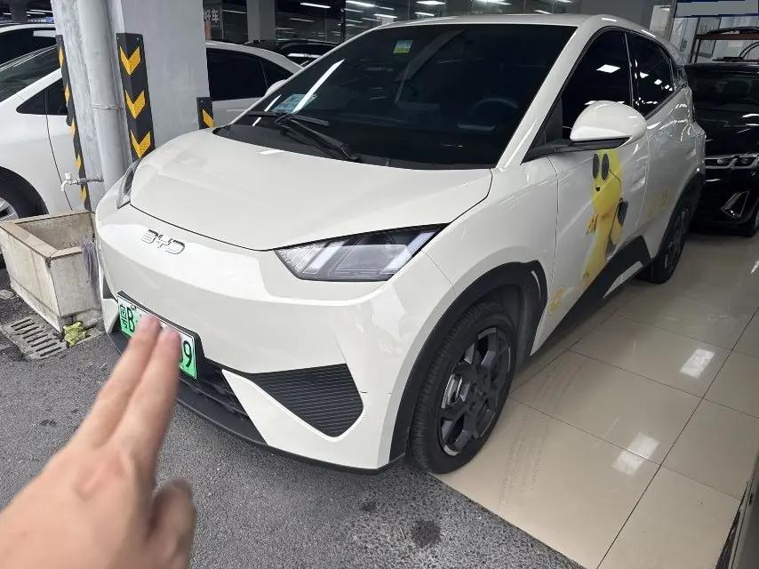 BYD 2025 Seagull 405km Flying Edition Automatic Gear