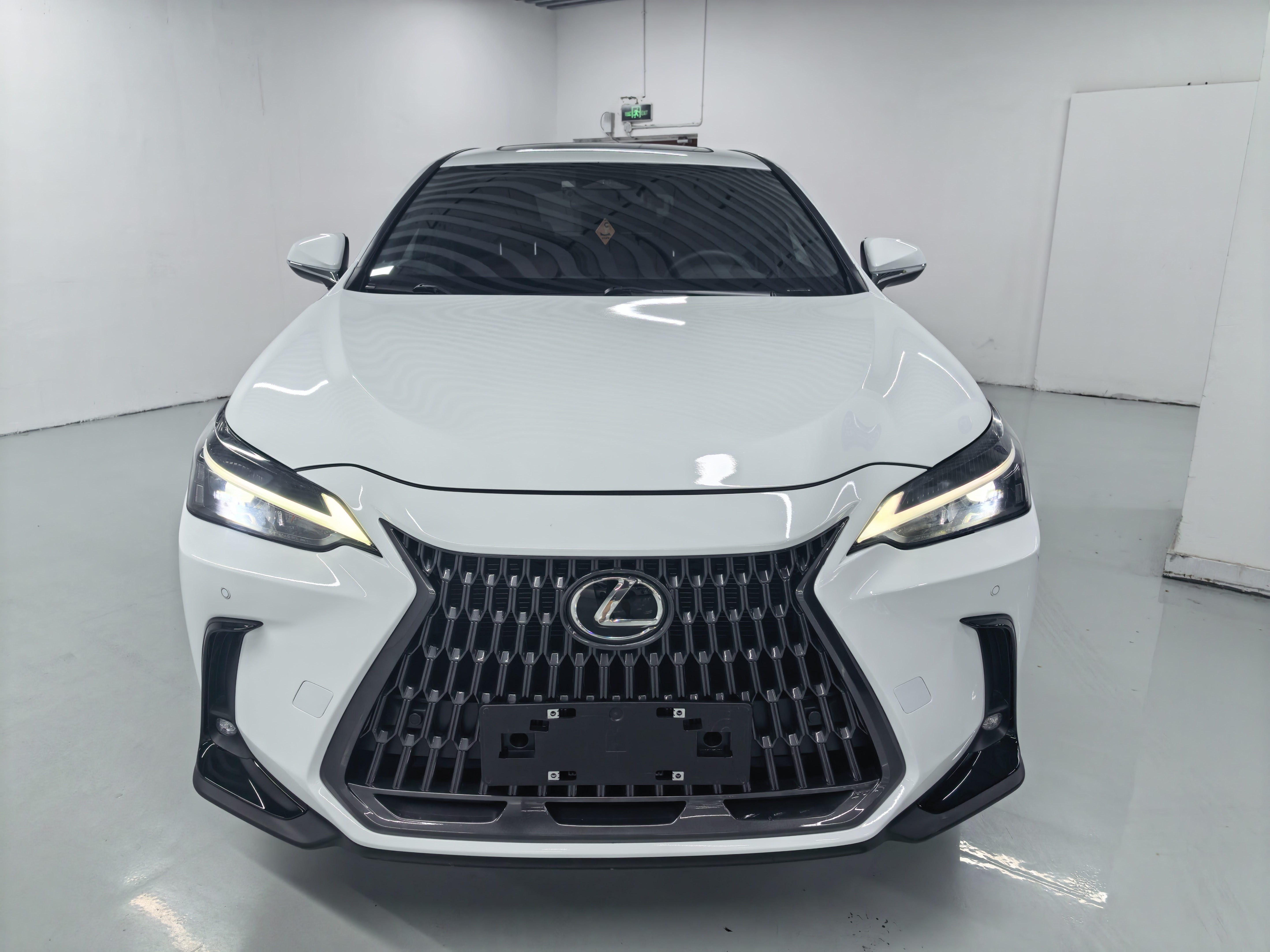 Lexus NX (imported) 2026 NX200 2.0 stepless stunning limited edition automatic gear 2