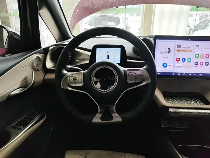 Dolphin 2023 420km Fashion Edition 10