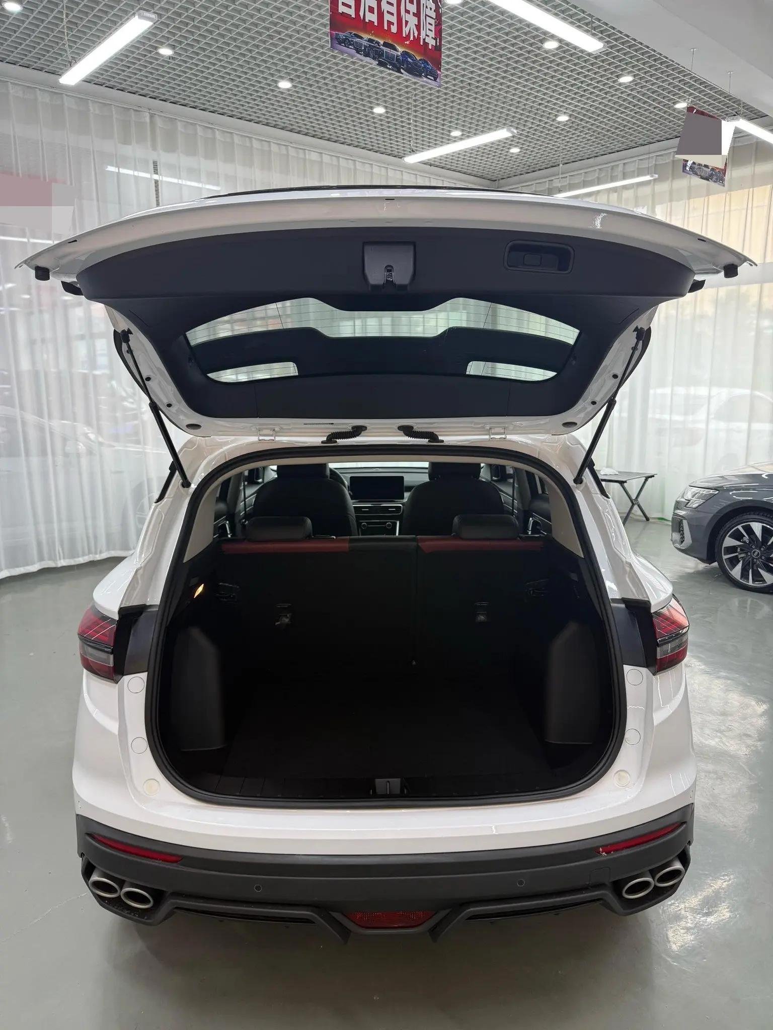 Binyue 2021 1.4T DCT Platinum Edition 9