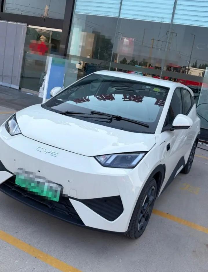 BYD 2025 Seagull Intelligent Driving Version 305km Free Edition Automatic