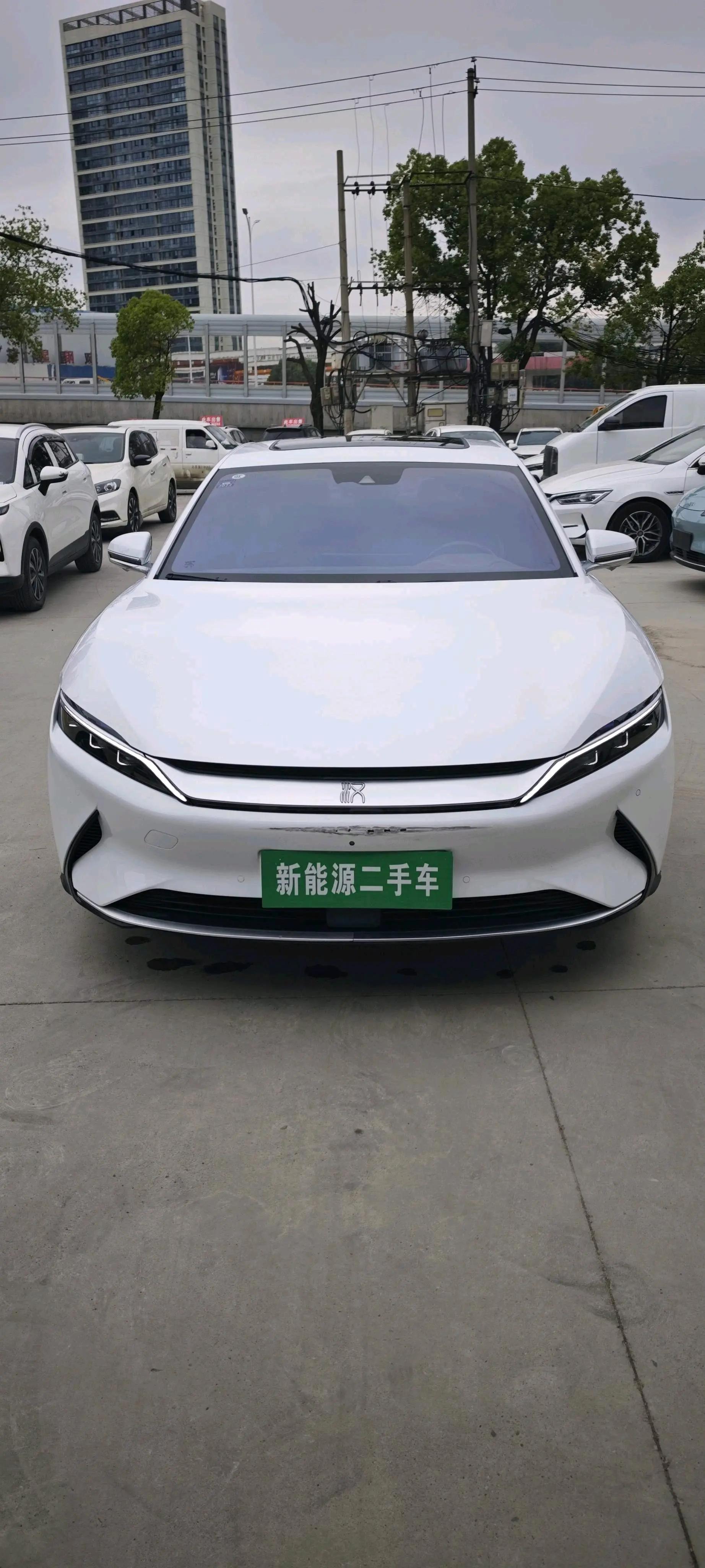 Han 2020 EV four-wheel drive high-performance flagship 6