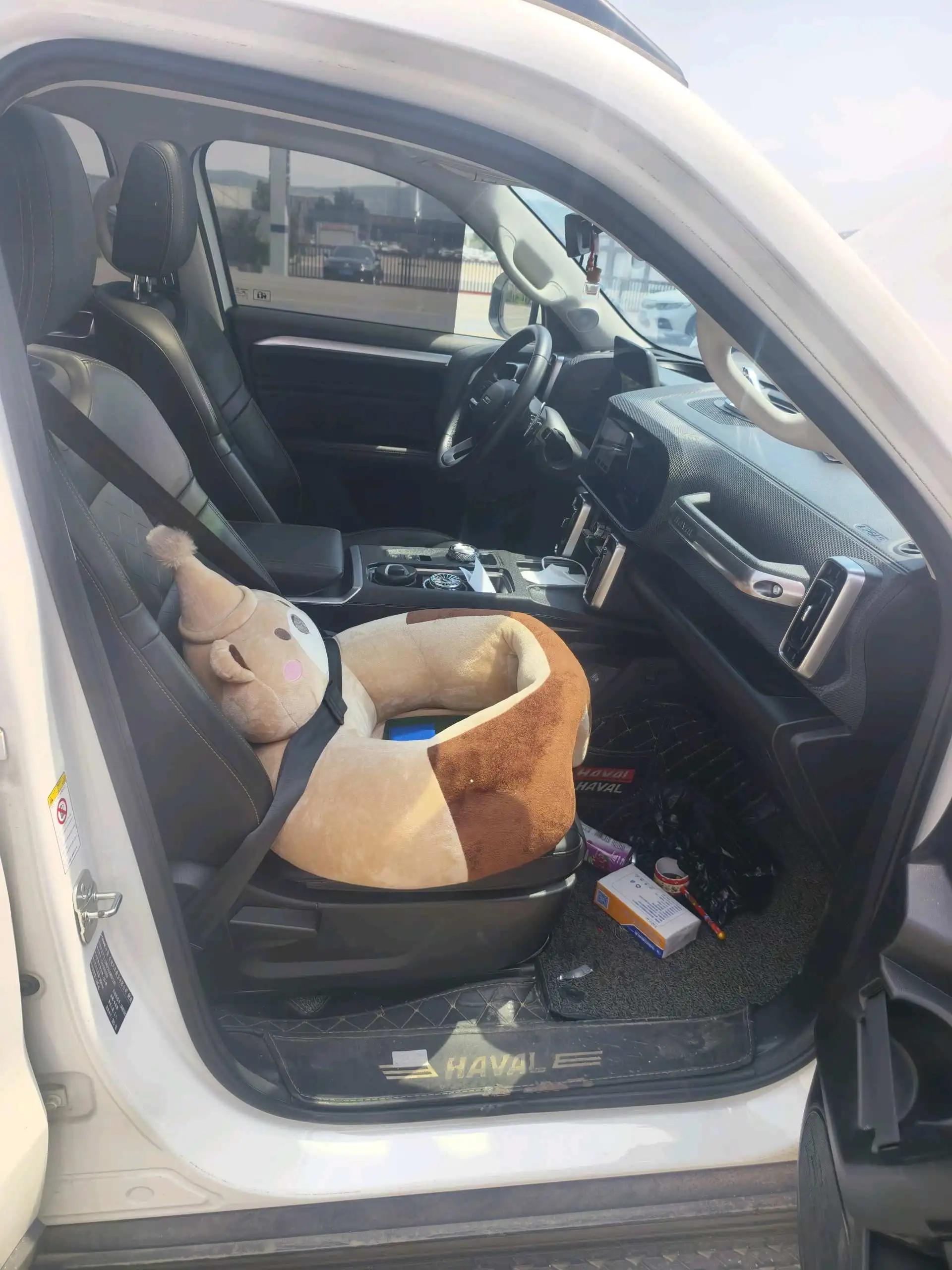 Haval Big Dog 2021 1.5T DCT Two-Drive Border Pastoral Edition 3