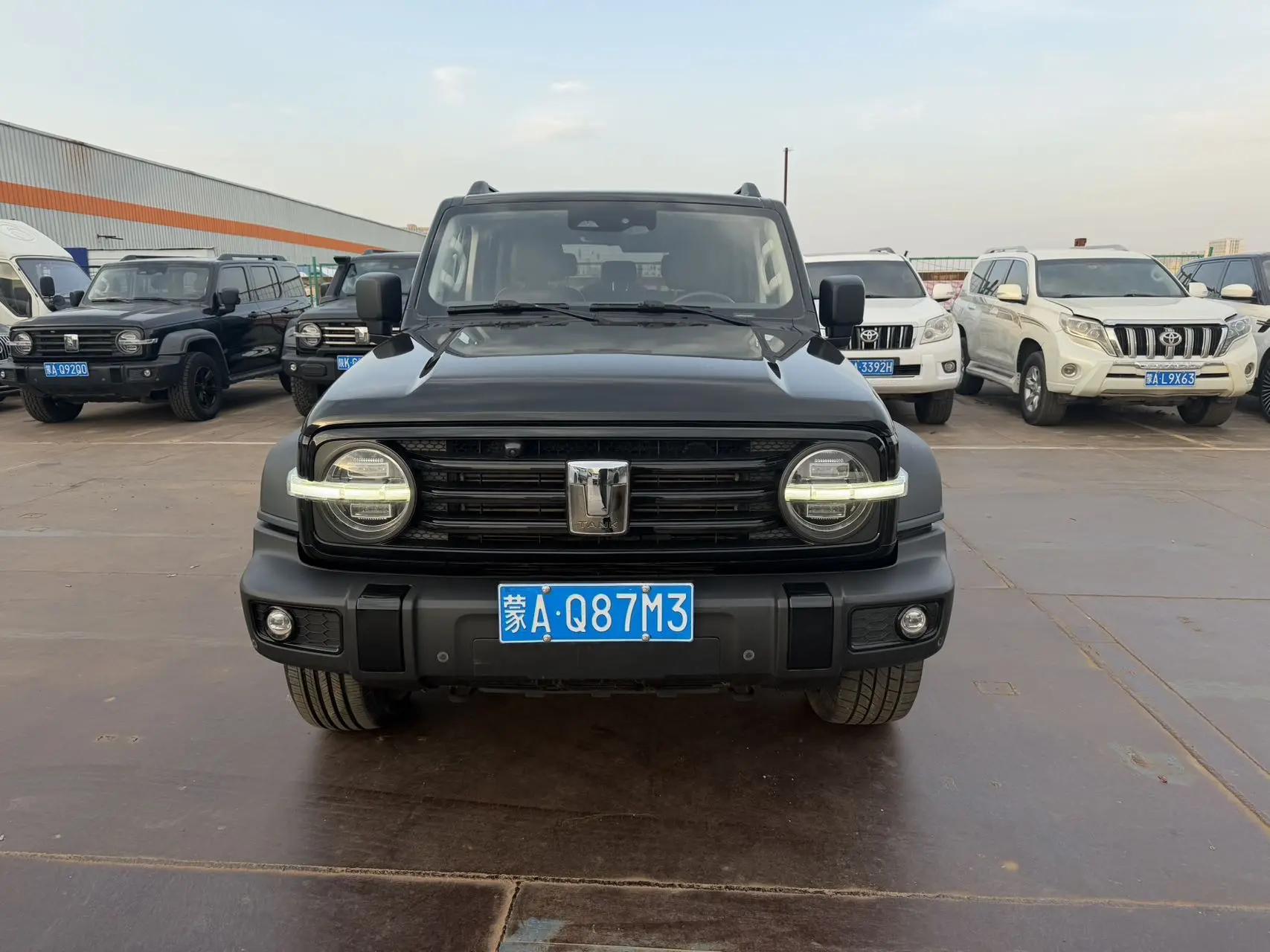 Tank 300 2021 Off-road Edition 2.0T Conqueror 2