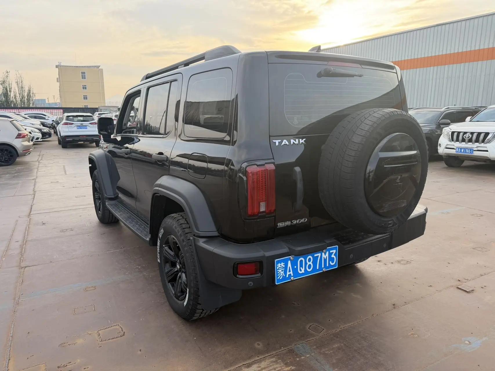 Tank 300 2021 Off-road Edition 2.0T Conqueror 7