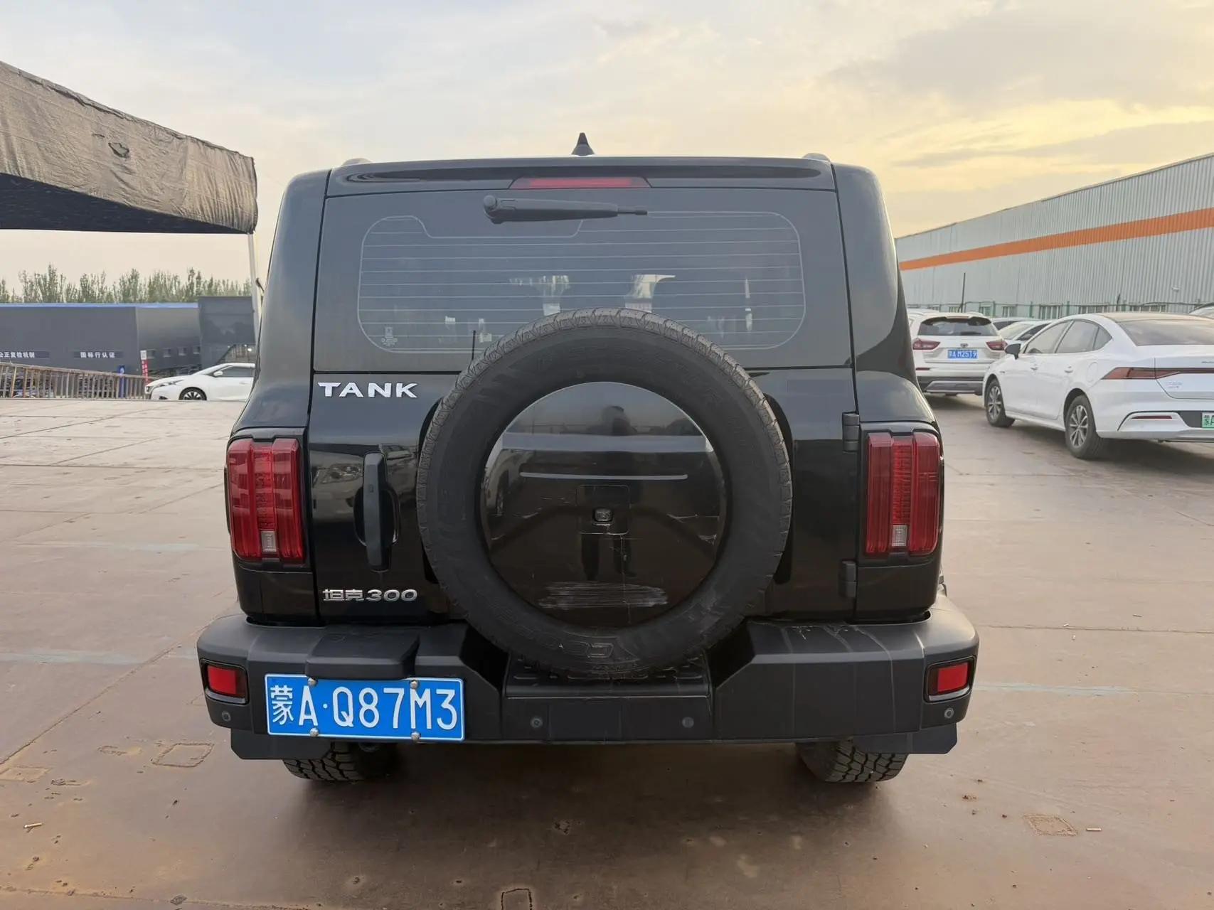 Tank 300 2021 Off-road Edition 2.0T Conqueror 8