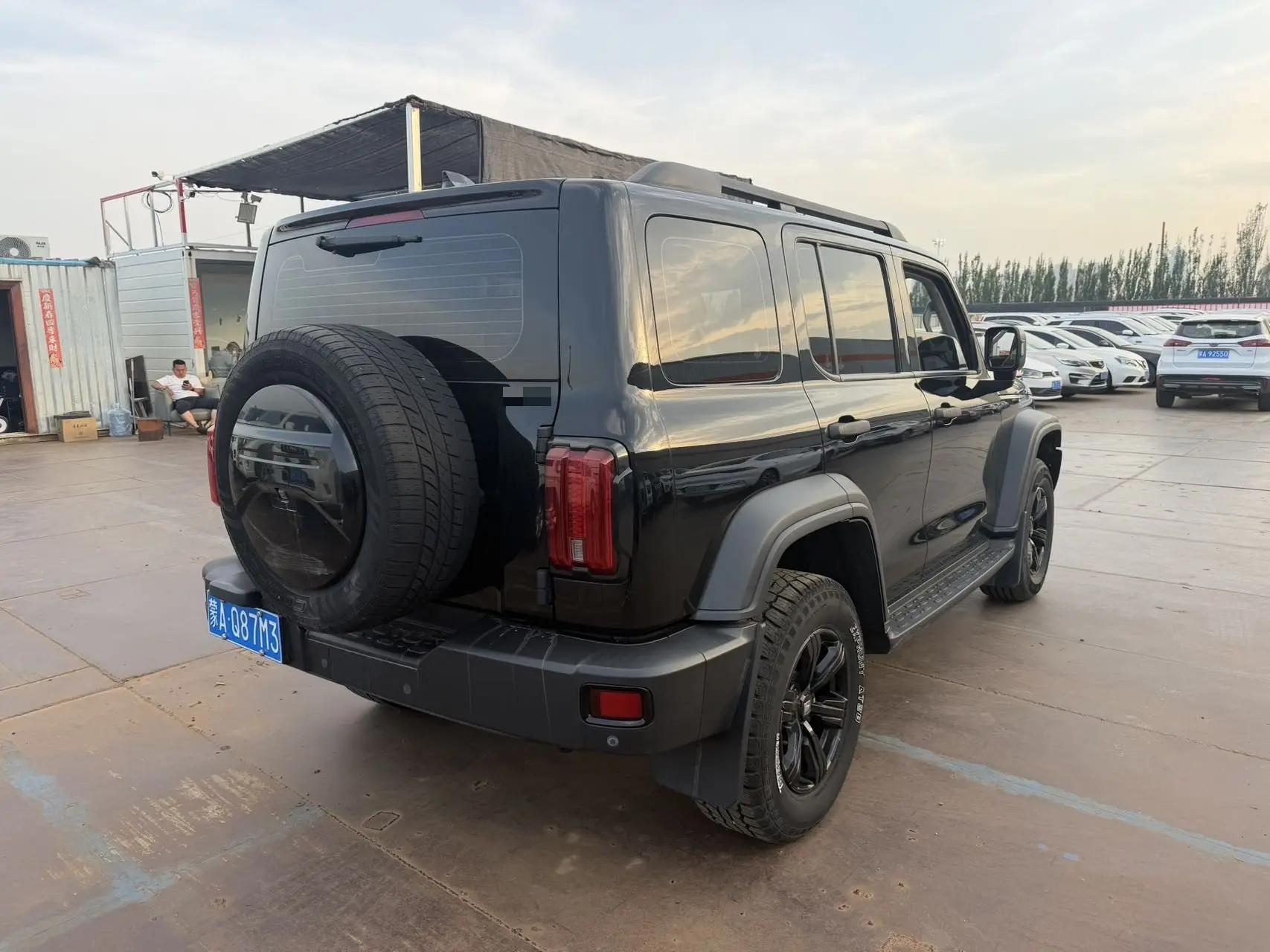 Tank 300 2021 Off-road Edition 2.0T Conqueror 9