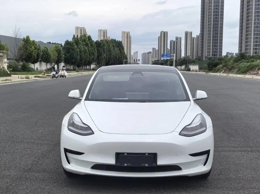 Model 3 2019 Standard Endurance Rear Drive Upgrade 2