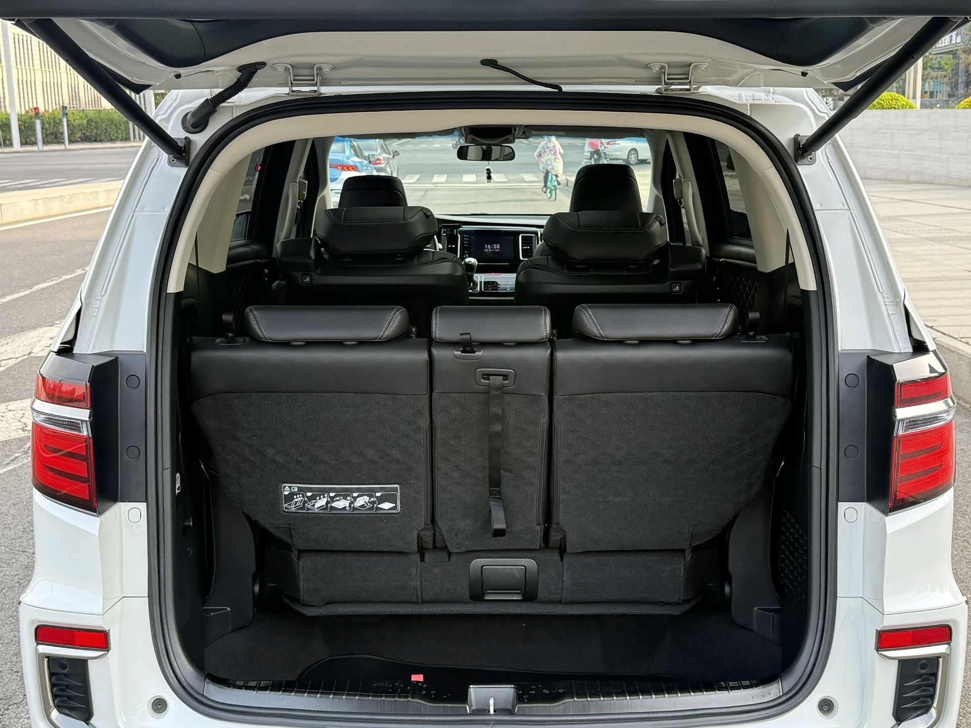 Elyson 2019 2.0L Hybrid Deluxe Edition 13