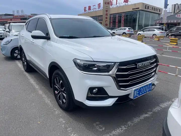 Haval H6 2021 National Tide Edition 1.5T Automatic City Edition